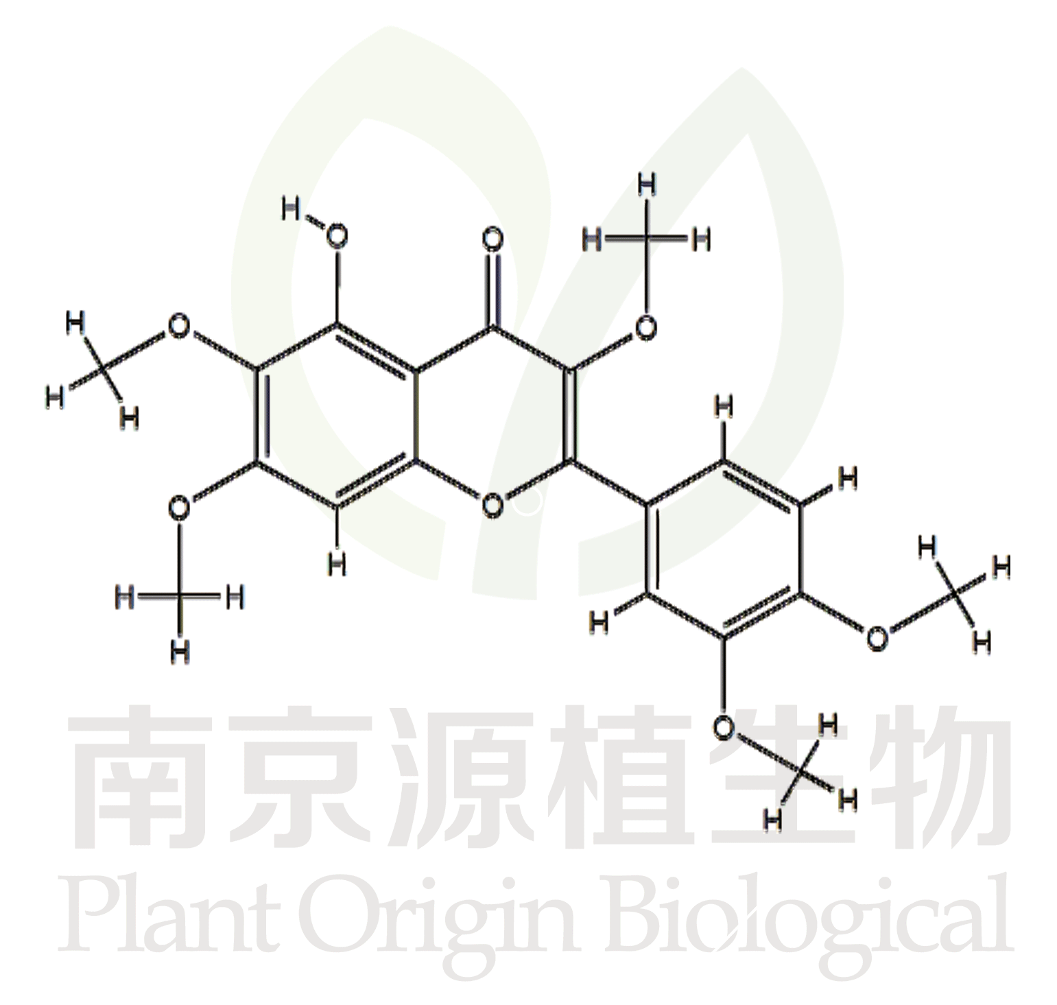 艾黃素