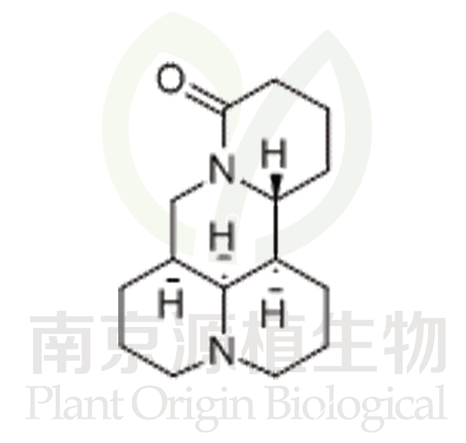 苦參堿