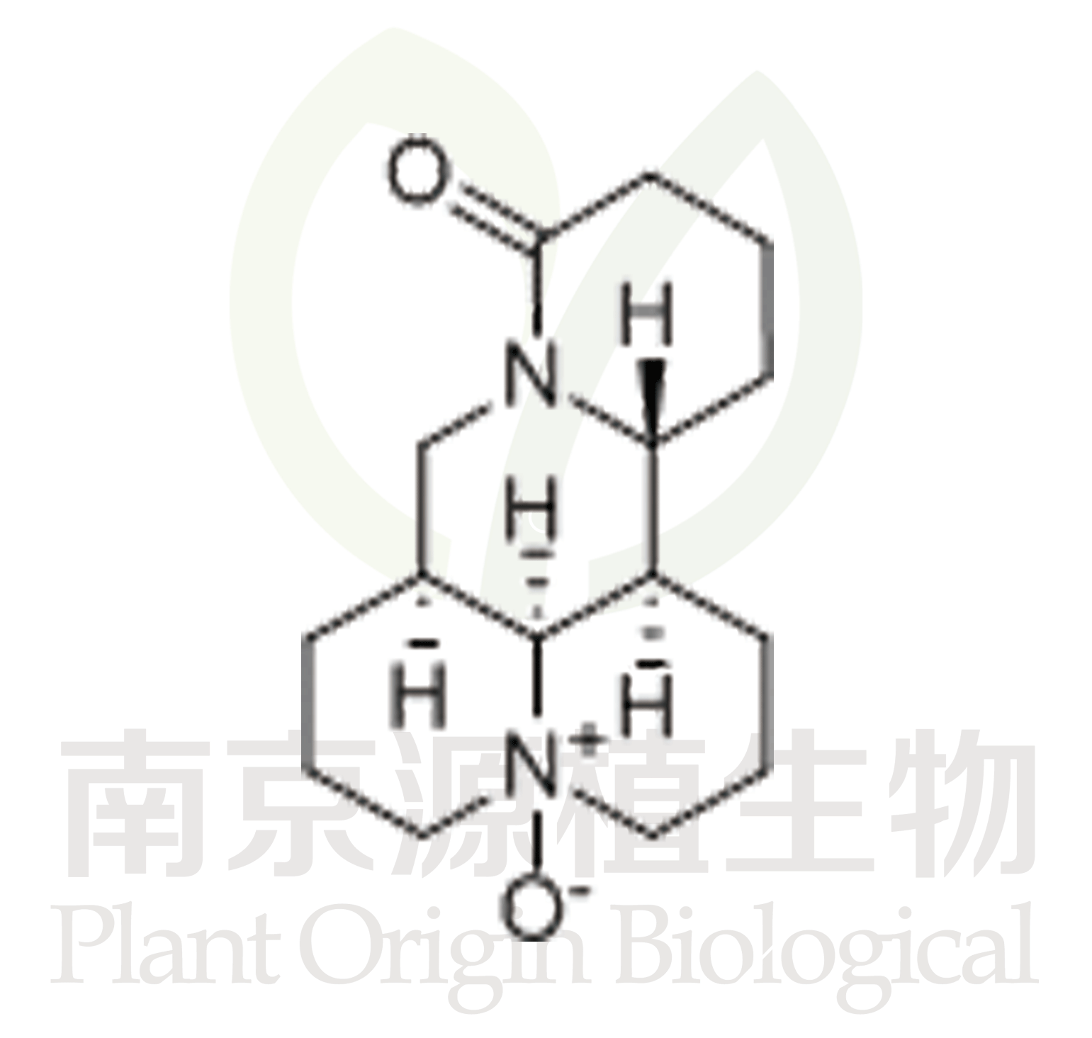 氧化苦參堿