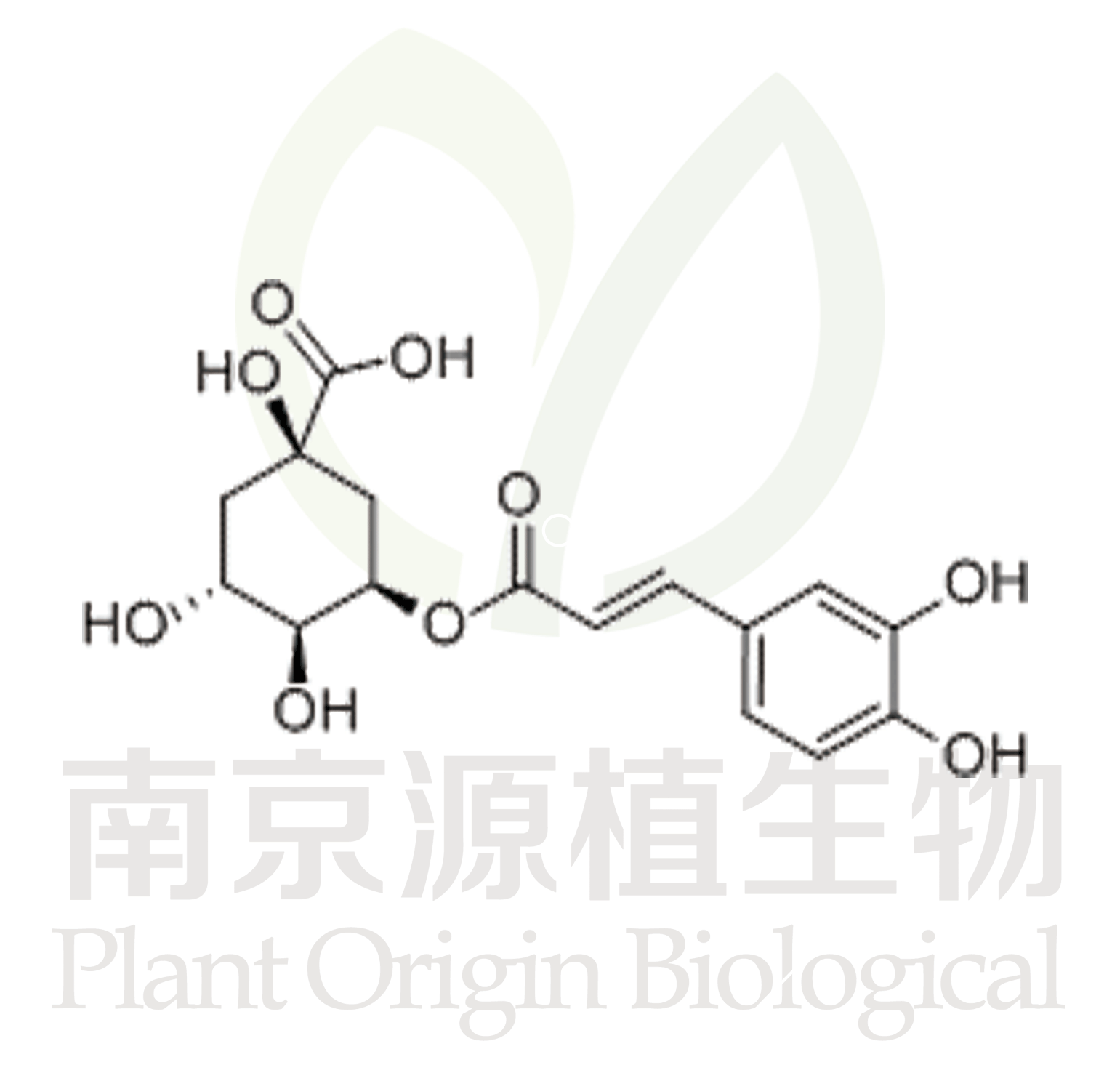 新綠原酸