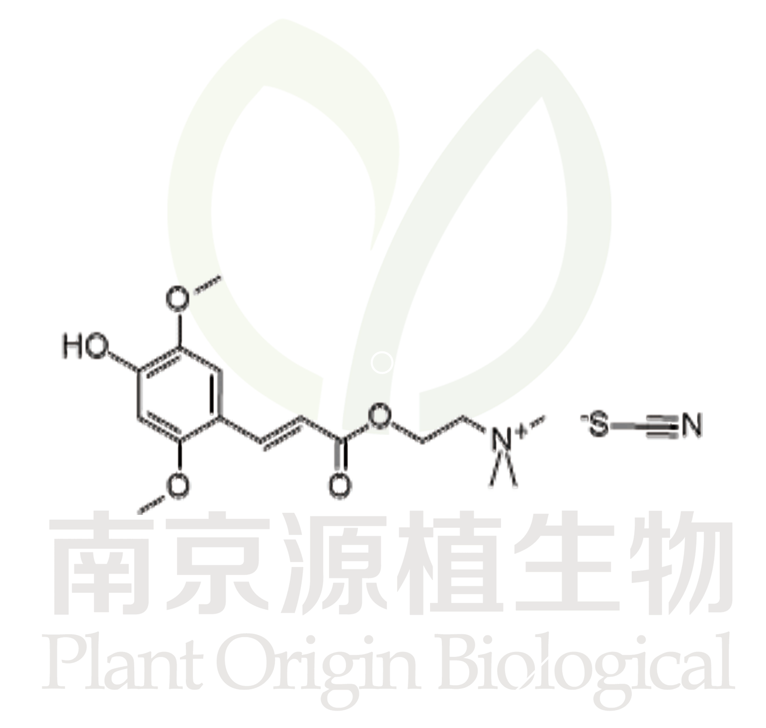 芥子堿硫氰酸鹽