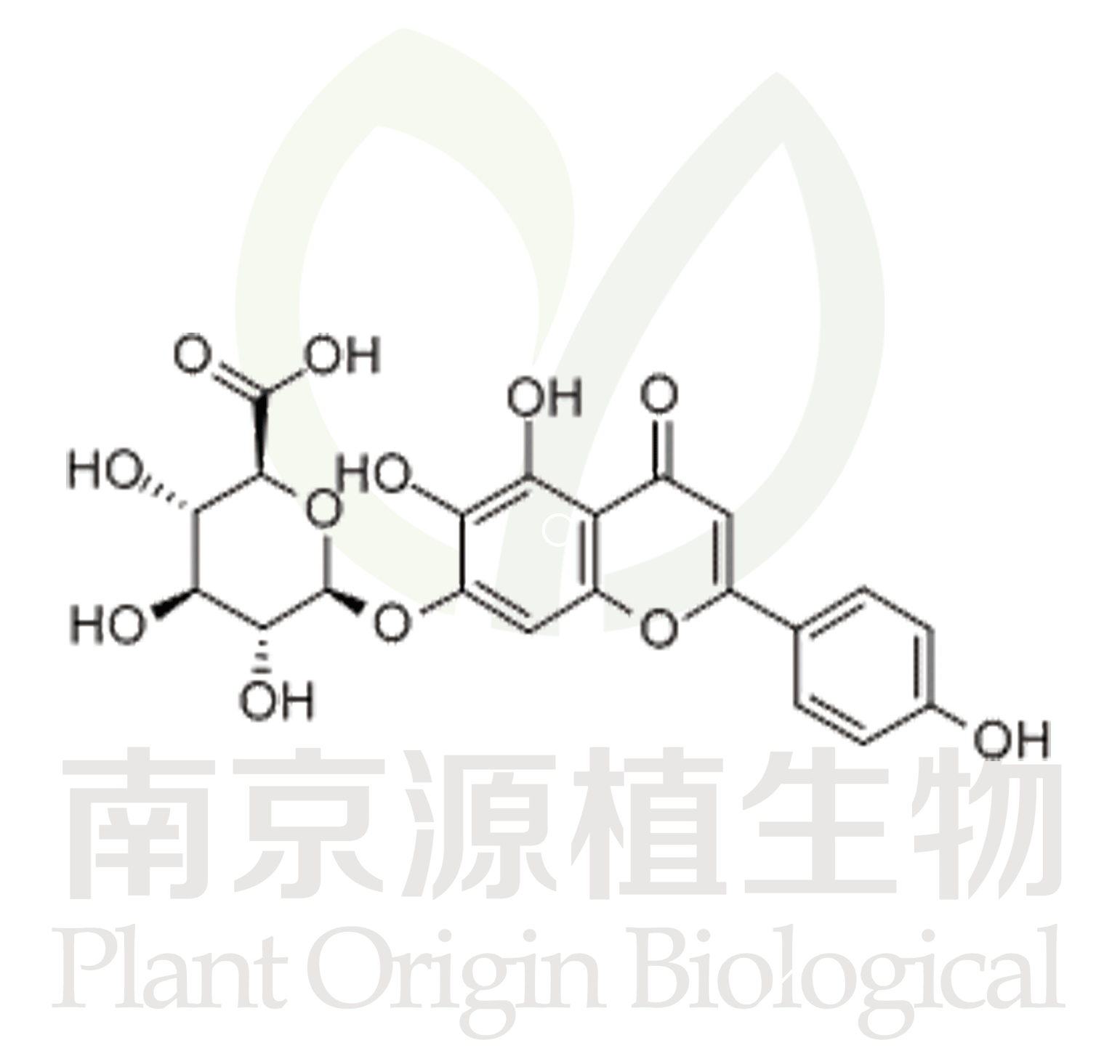 野黃芩苷