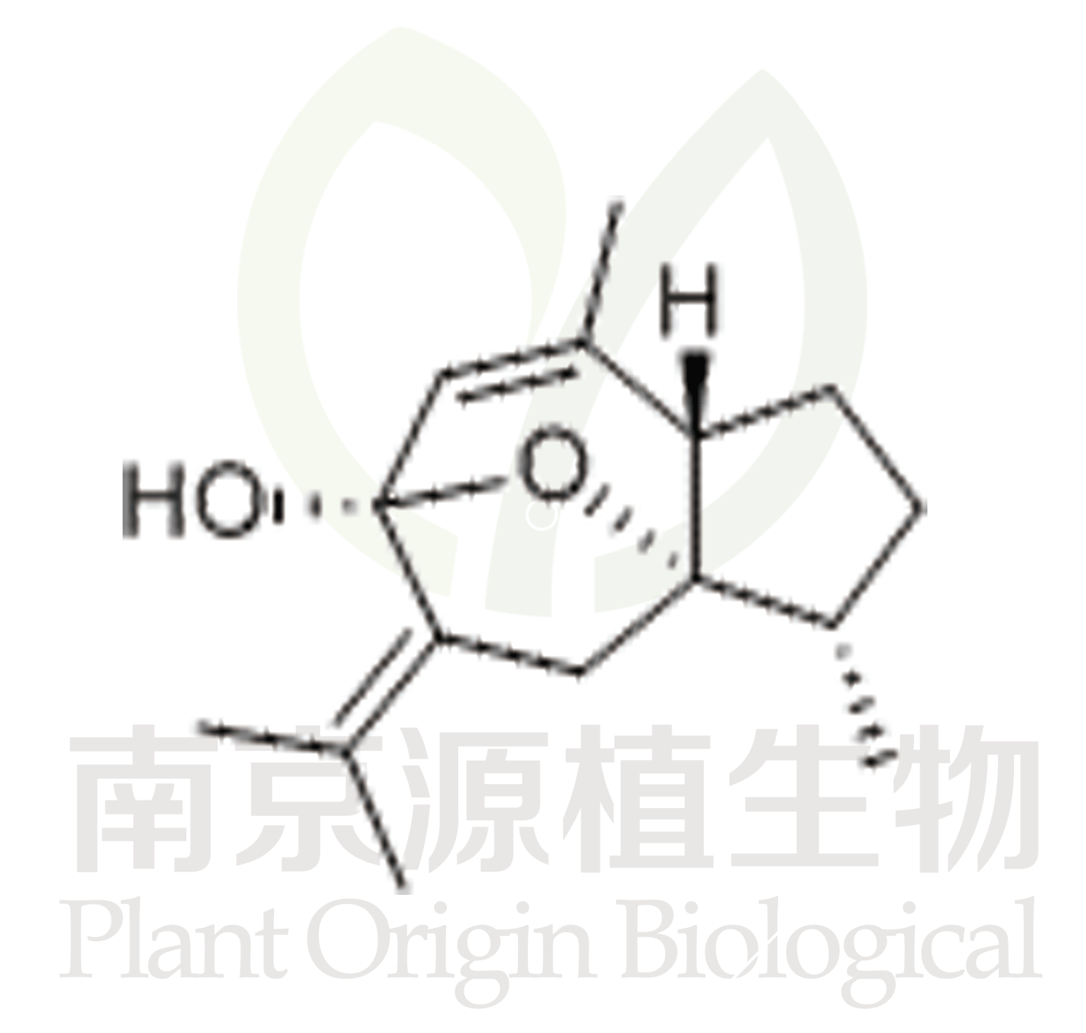 莪術(shù)烯醇