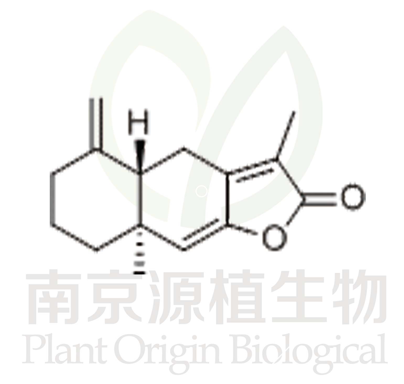 白術(shù)內(nèi)酯Ⅰ