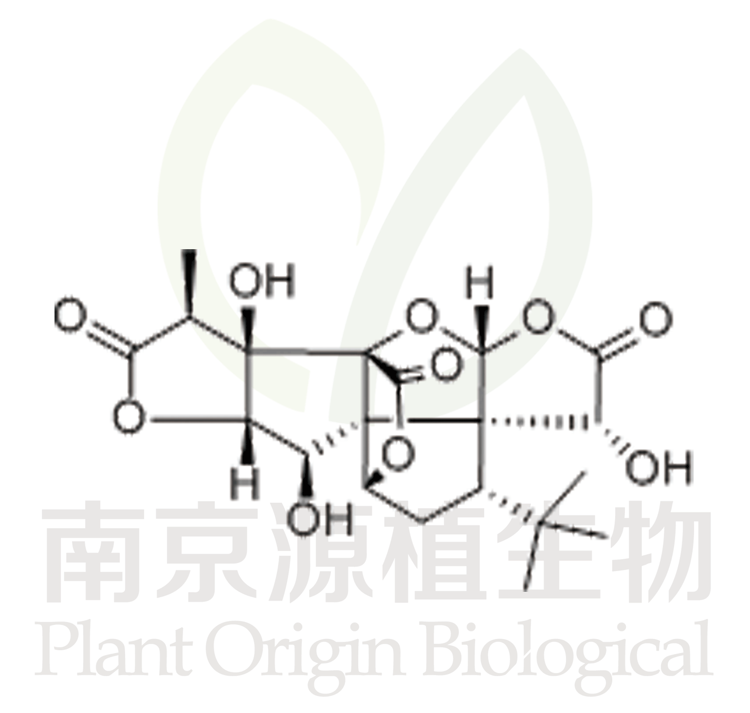 銀杏內酯B