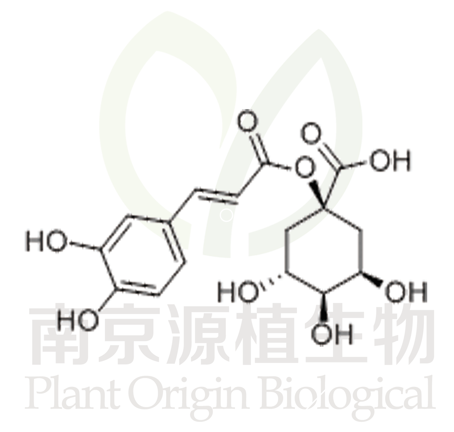 1-咖啡酰奎寧酸