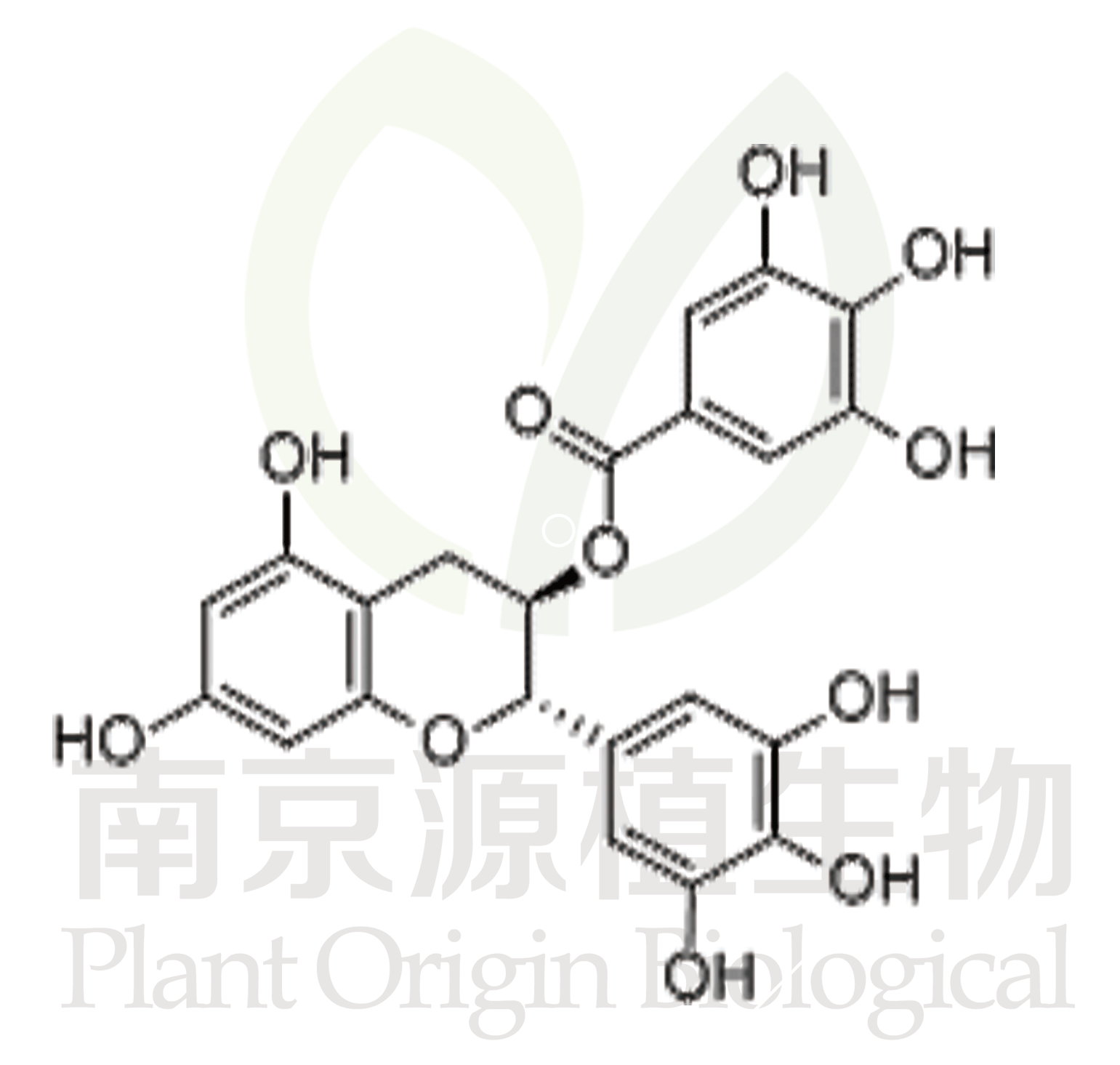 沒(méi)食子兒茶素沒(méi)食子酸酯