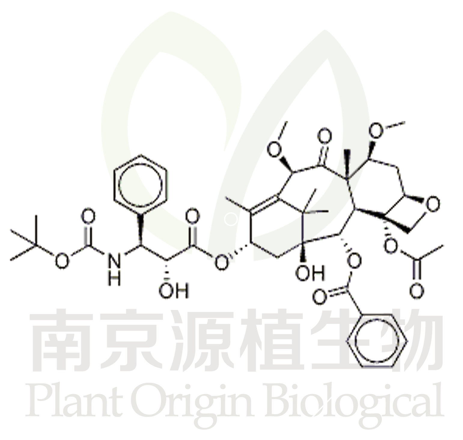 卡巴他賽