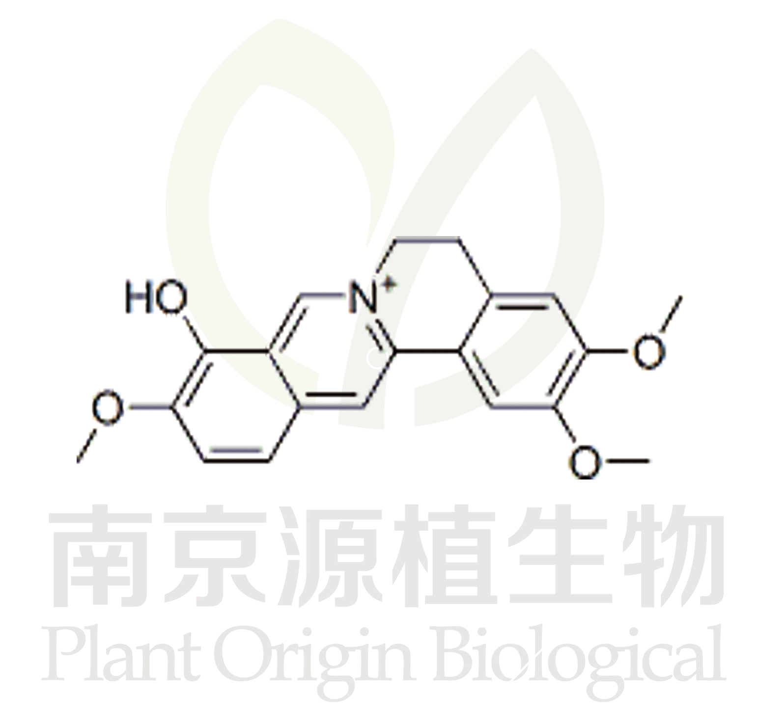 巴馬亭紅堿