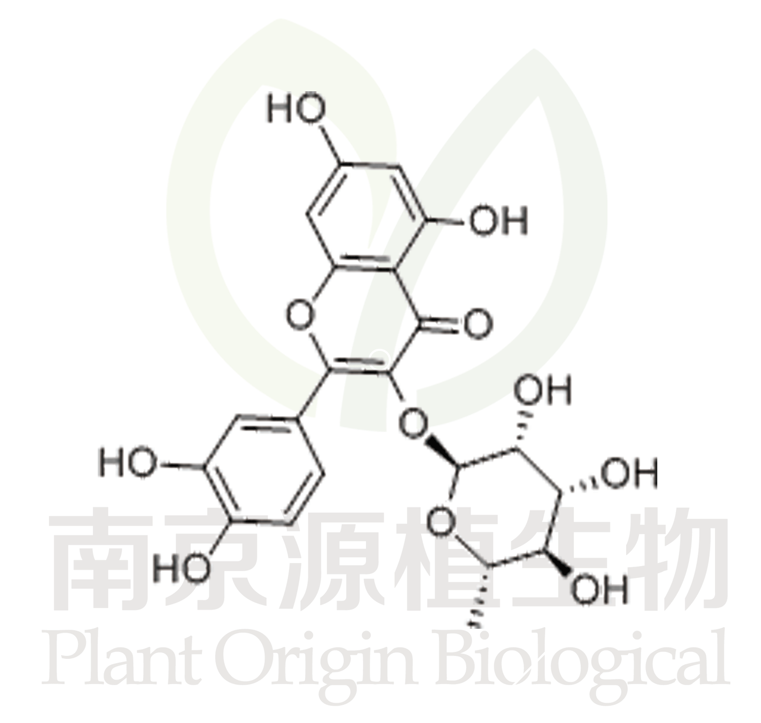 槲皮苷