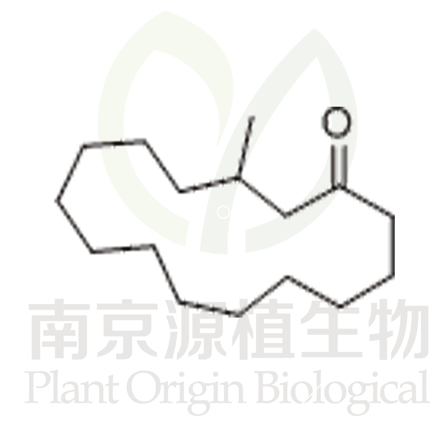 麝香酮