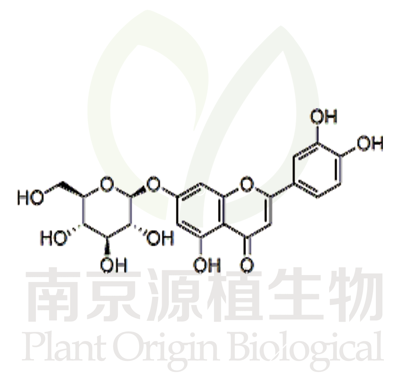 木犀草苷