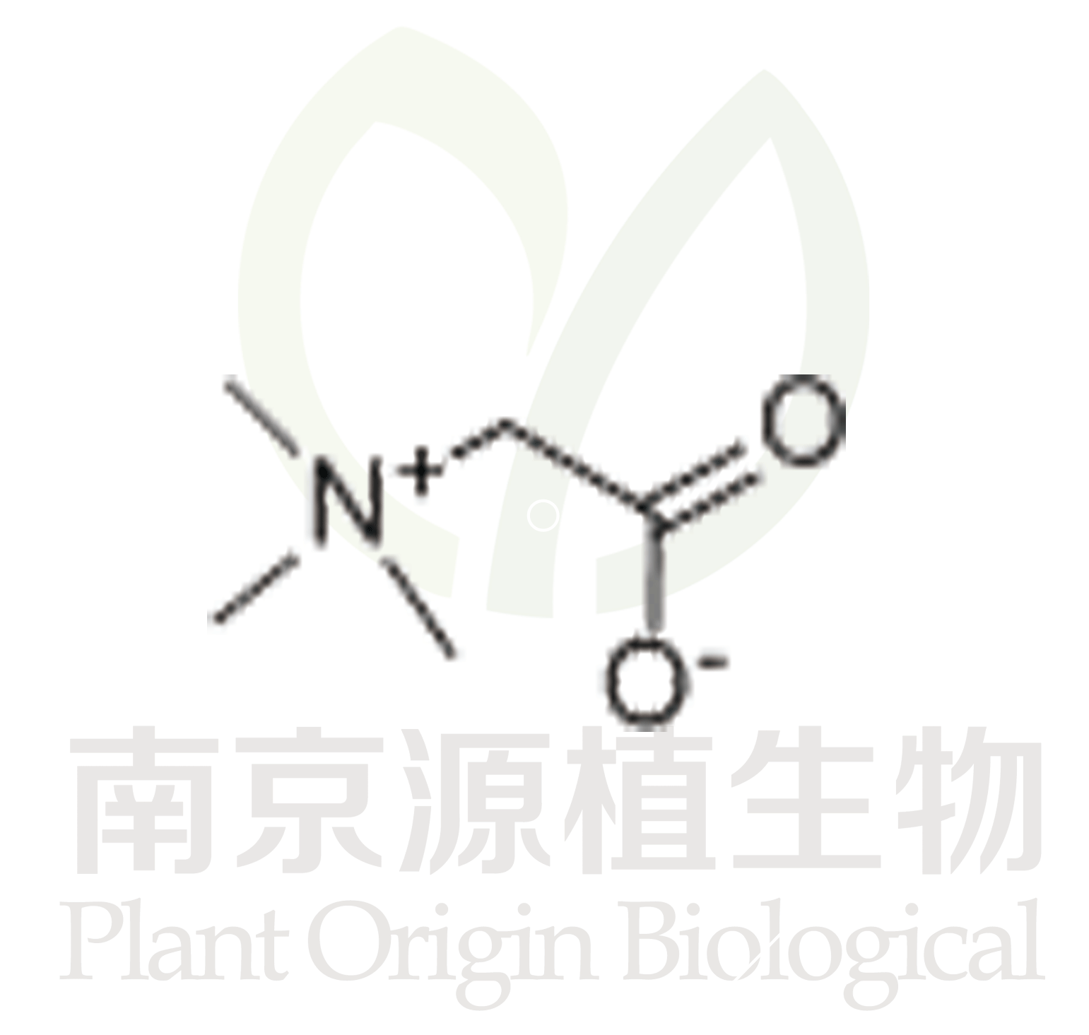 甜菜堿