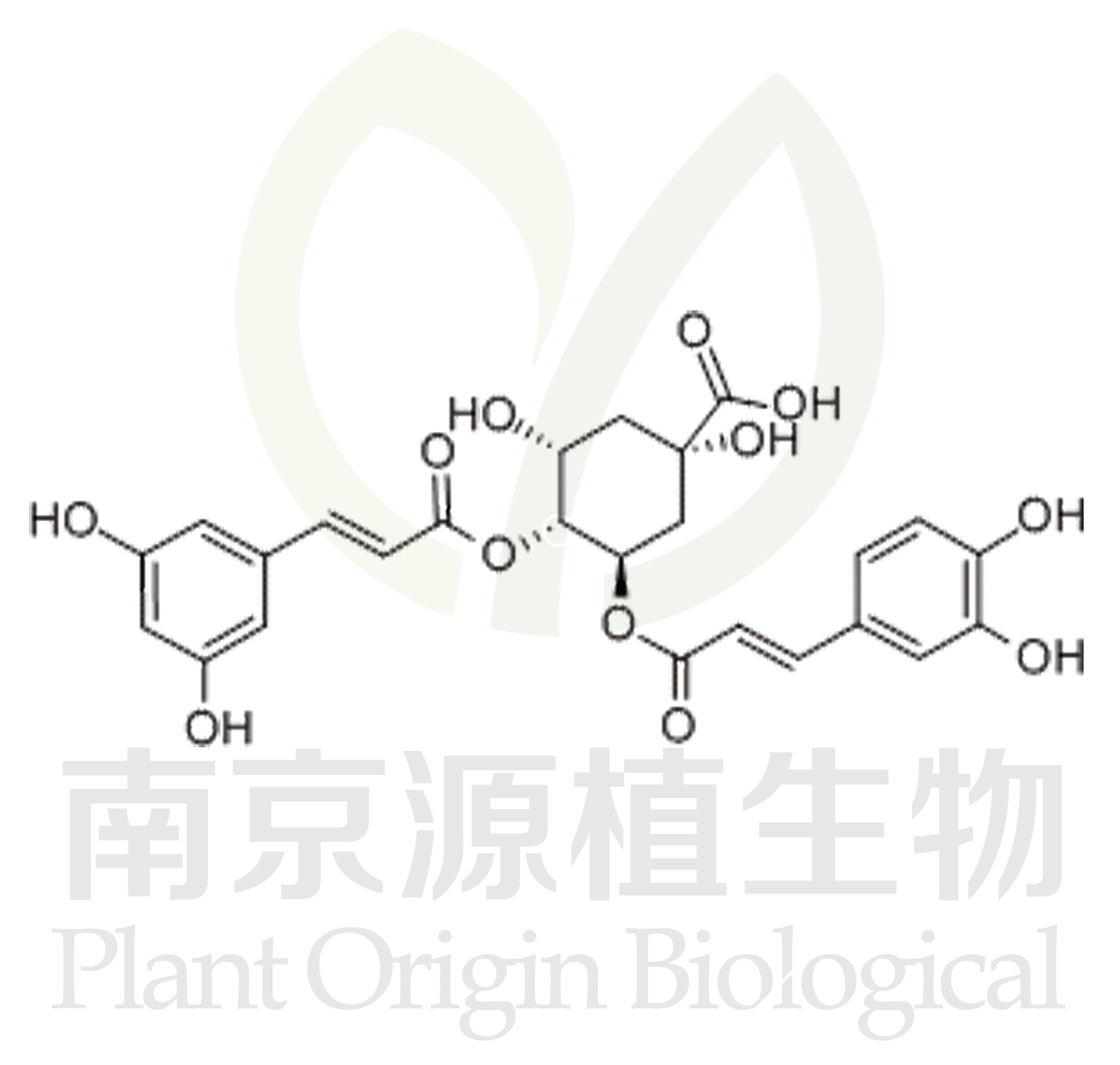 異綠原酸B