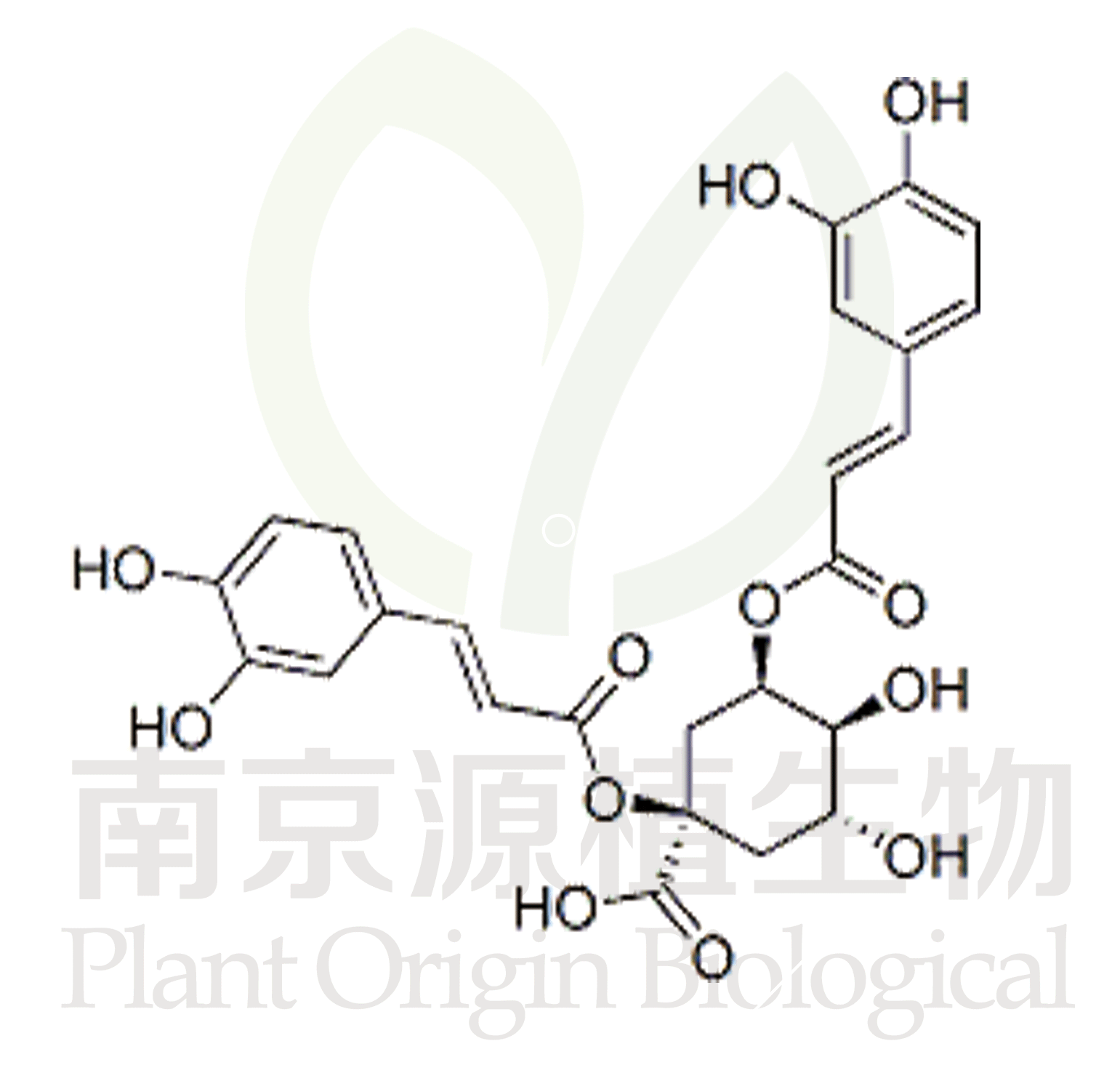 1,5-O-二咖啡酰奎寧酸