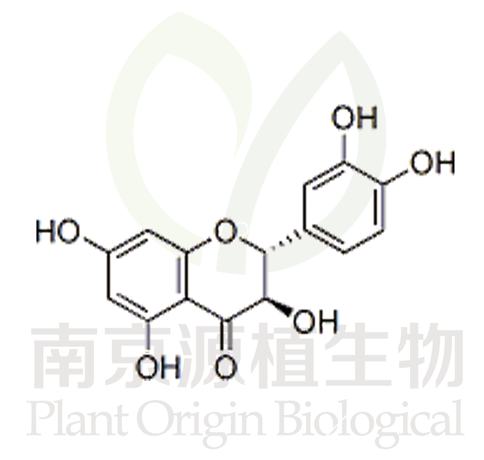 花旗松素