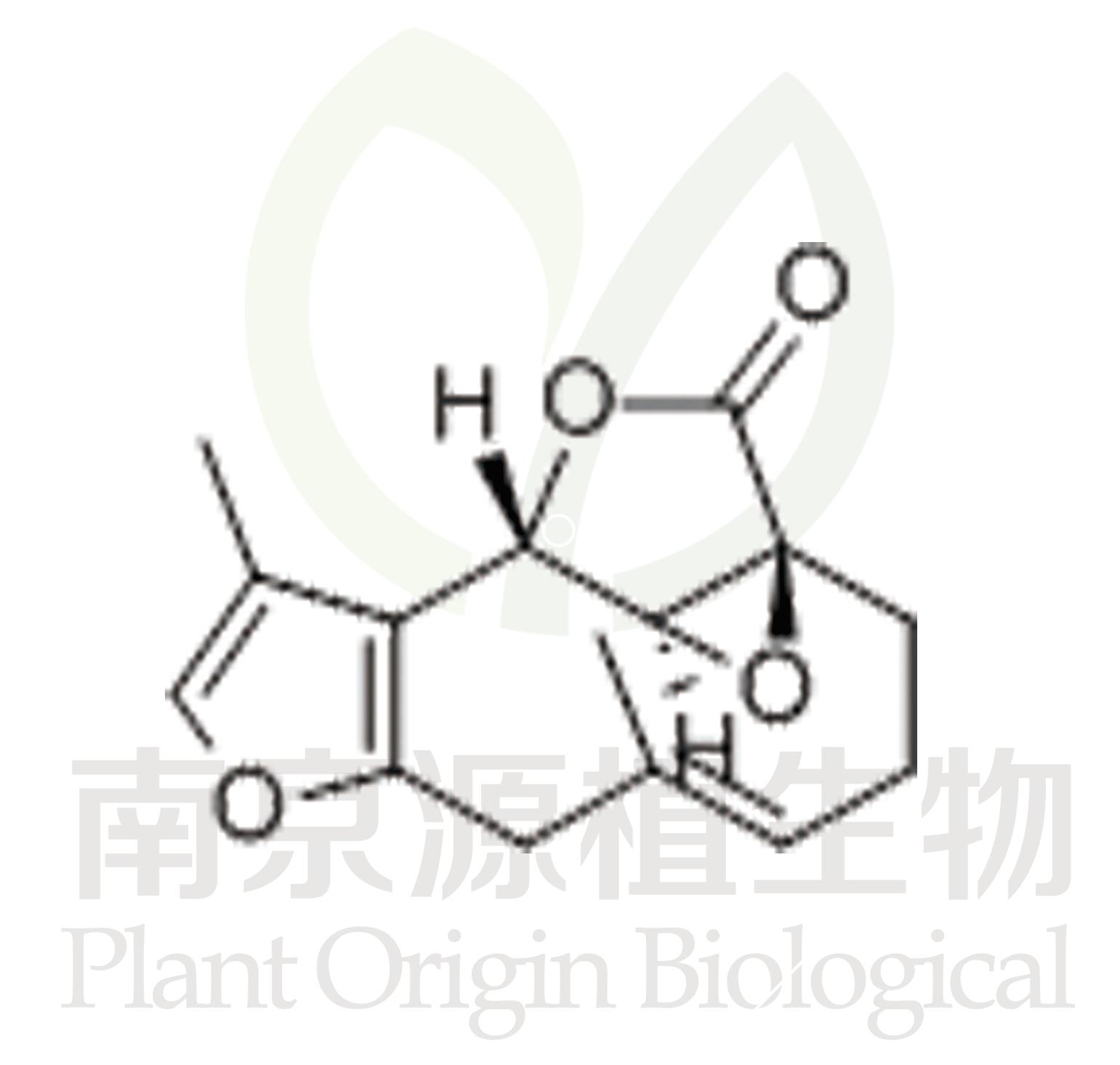 烏藥醚內酯