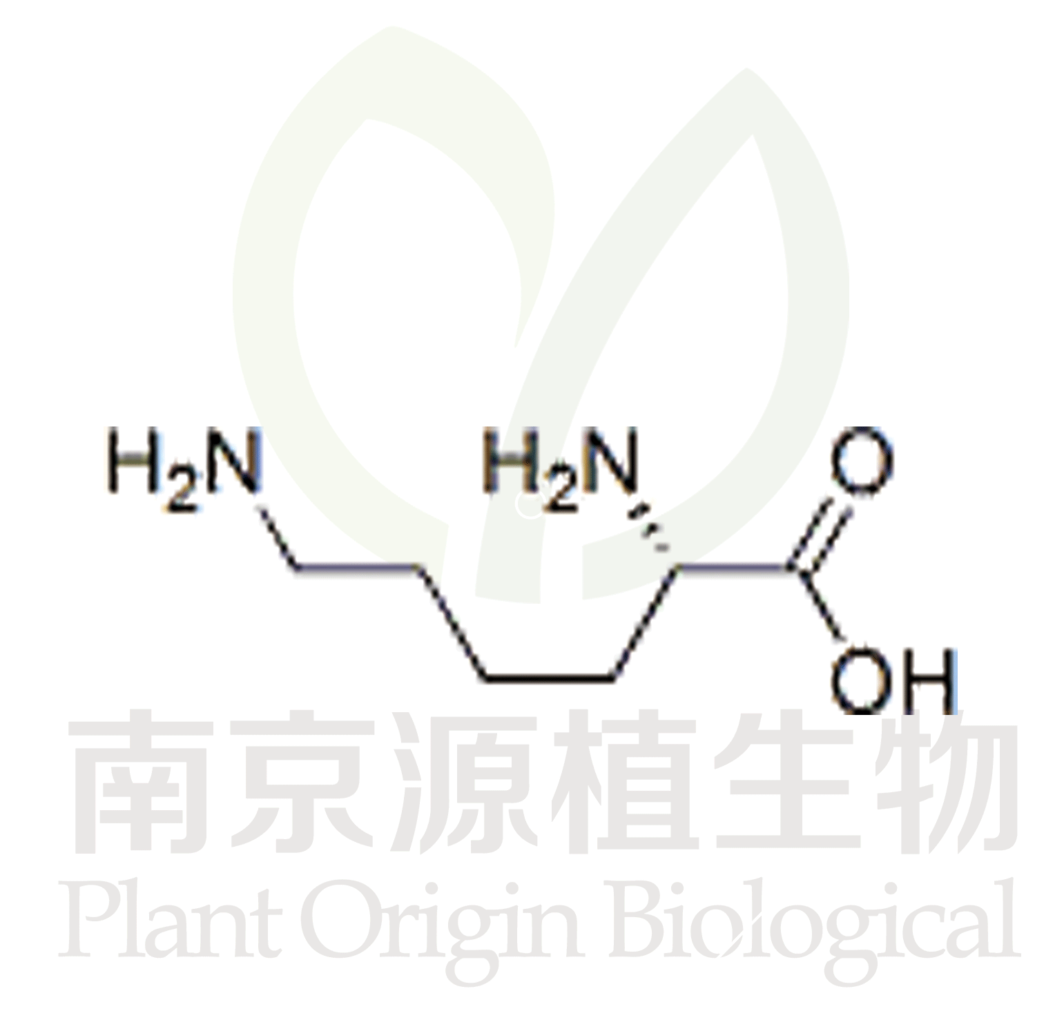 賴氨酸