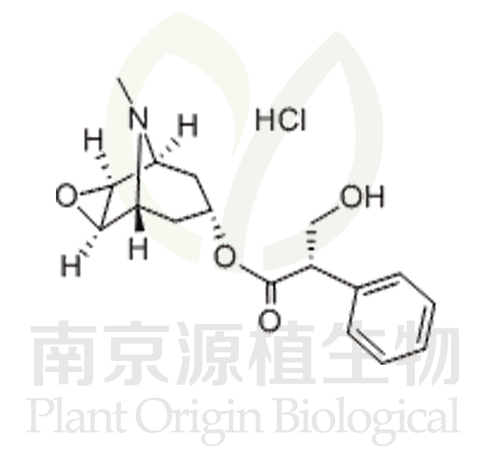 (-)-鹽酸東莨菪堿