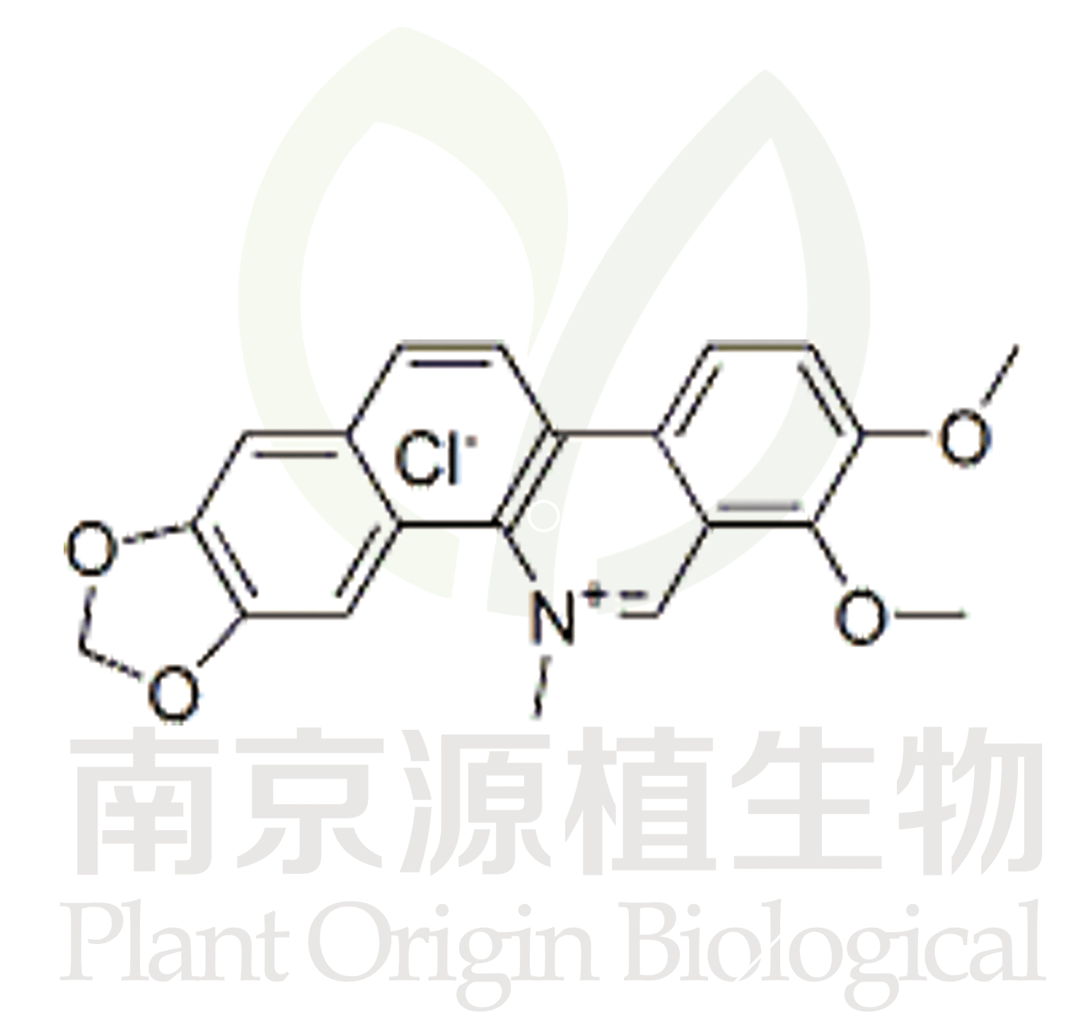 白屈菜紅堿