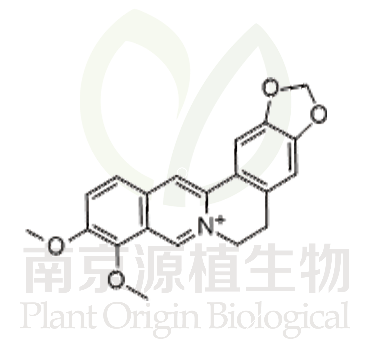 小檗堿