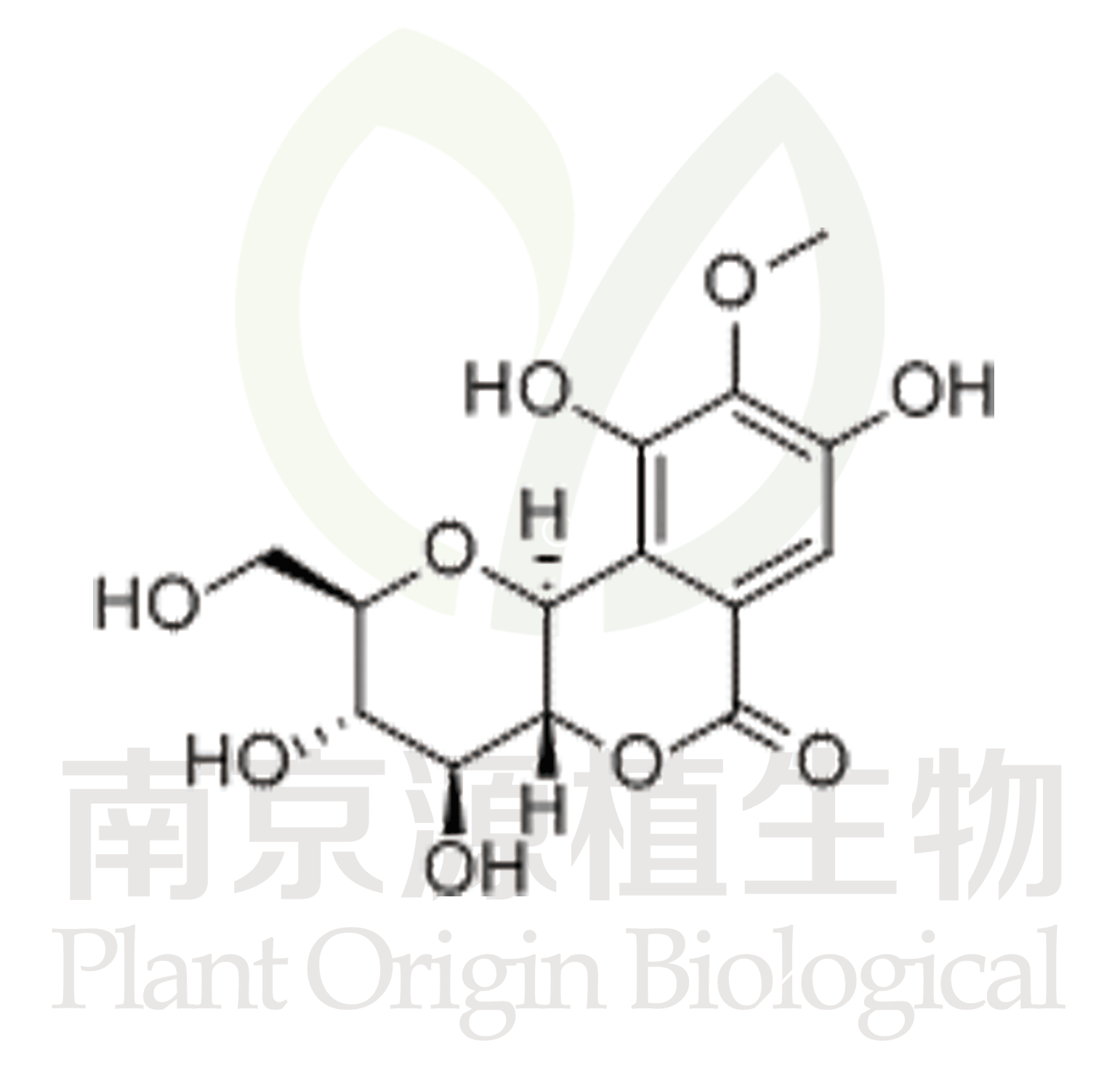 巖白菜素