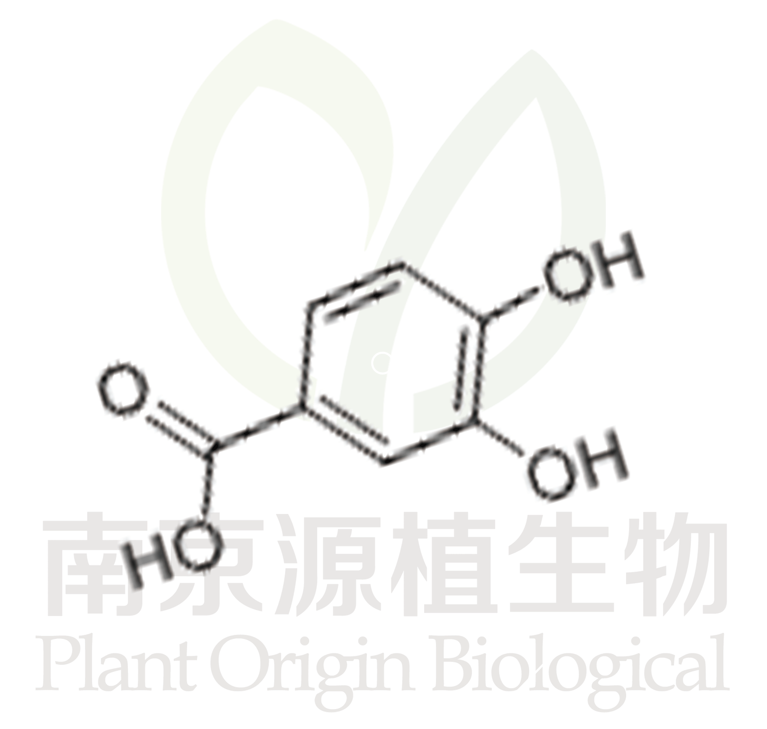 原兒茶酸