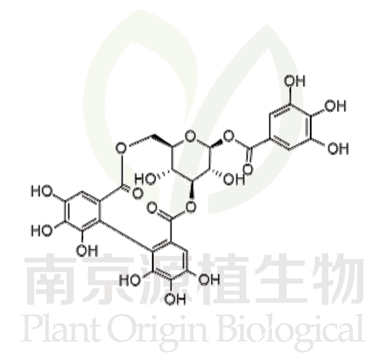 柯里拉京