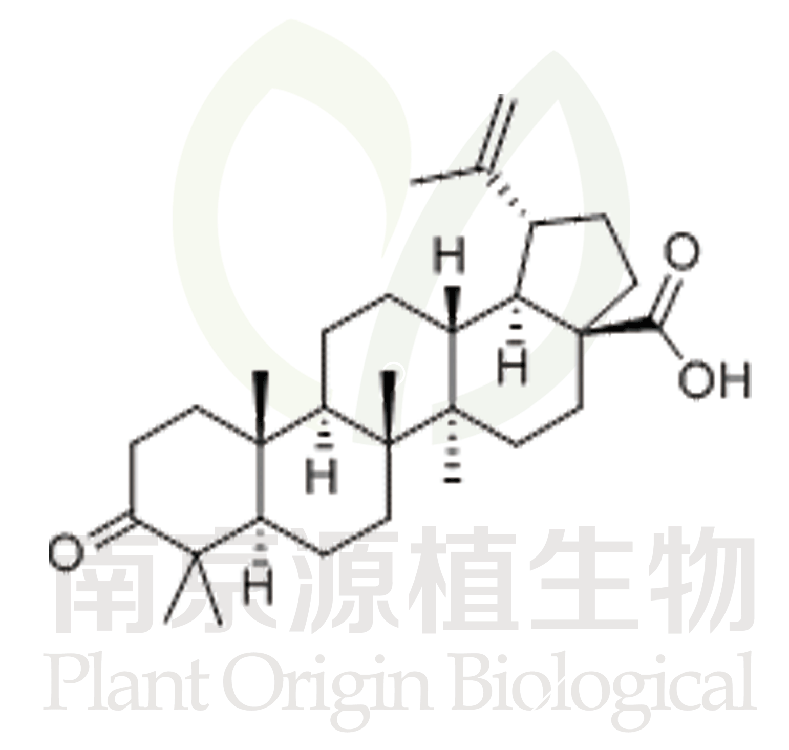 路路通酸