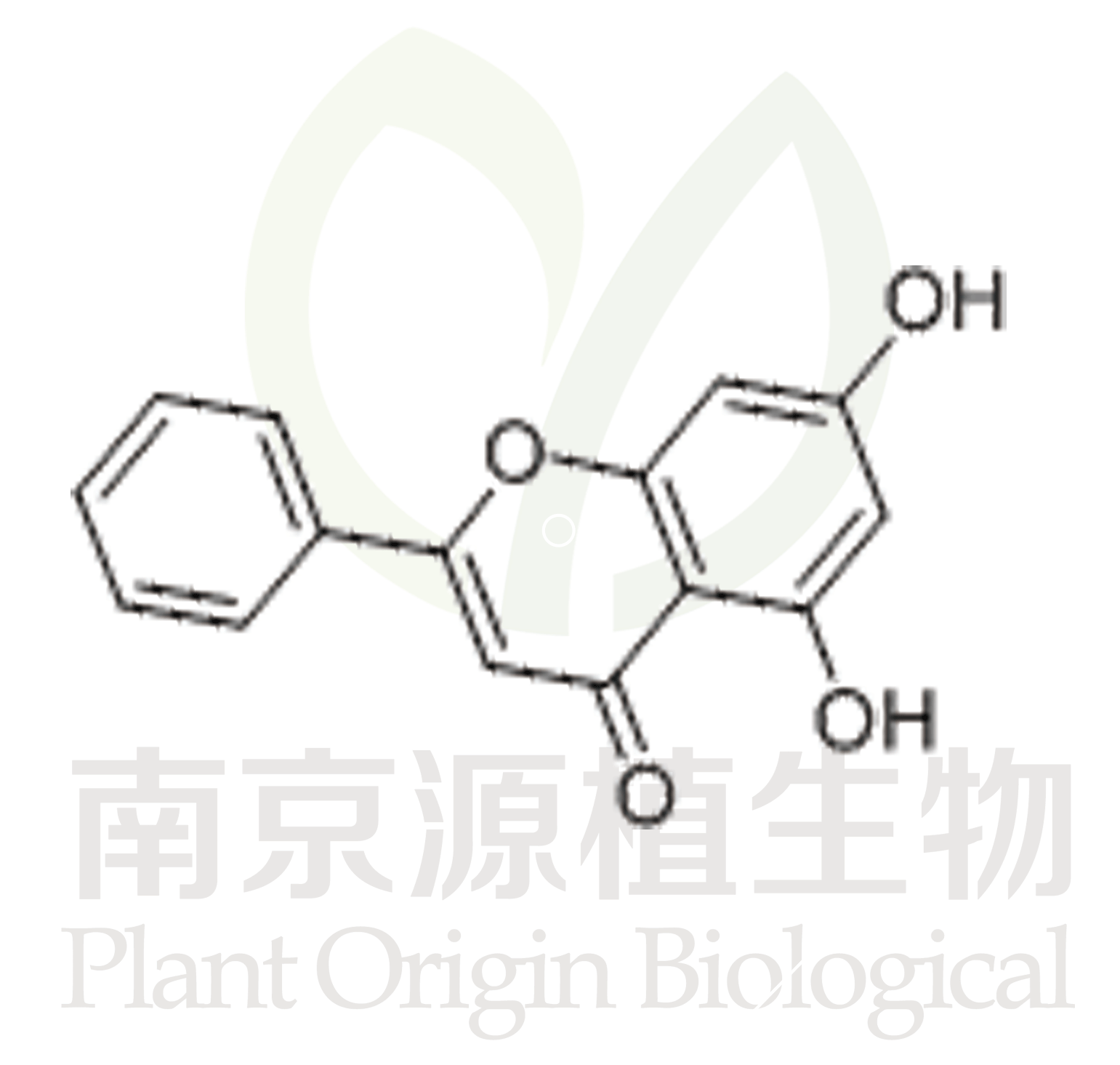 白楊素