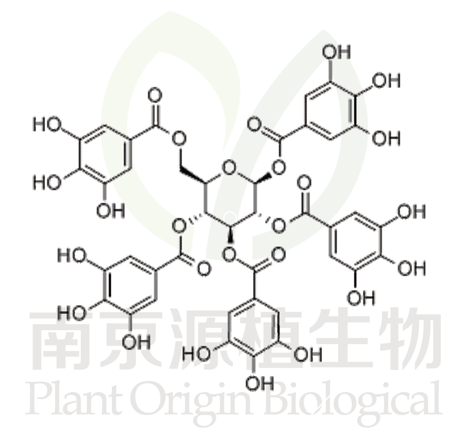  1,2,3,4,6-O-五沒食子酰葡萄糖