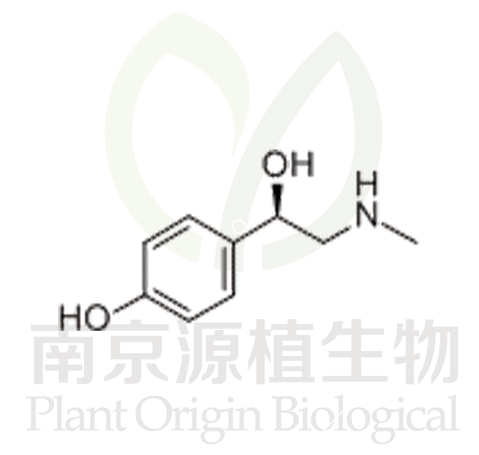 辛弗林