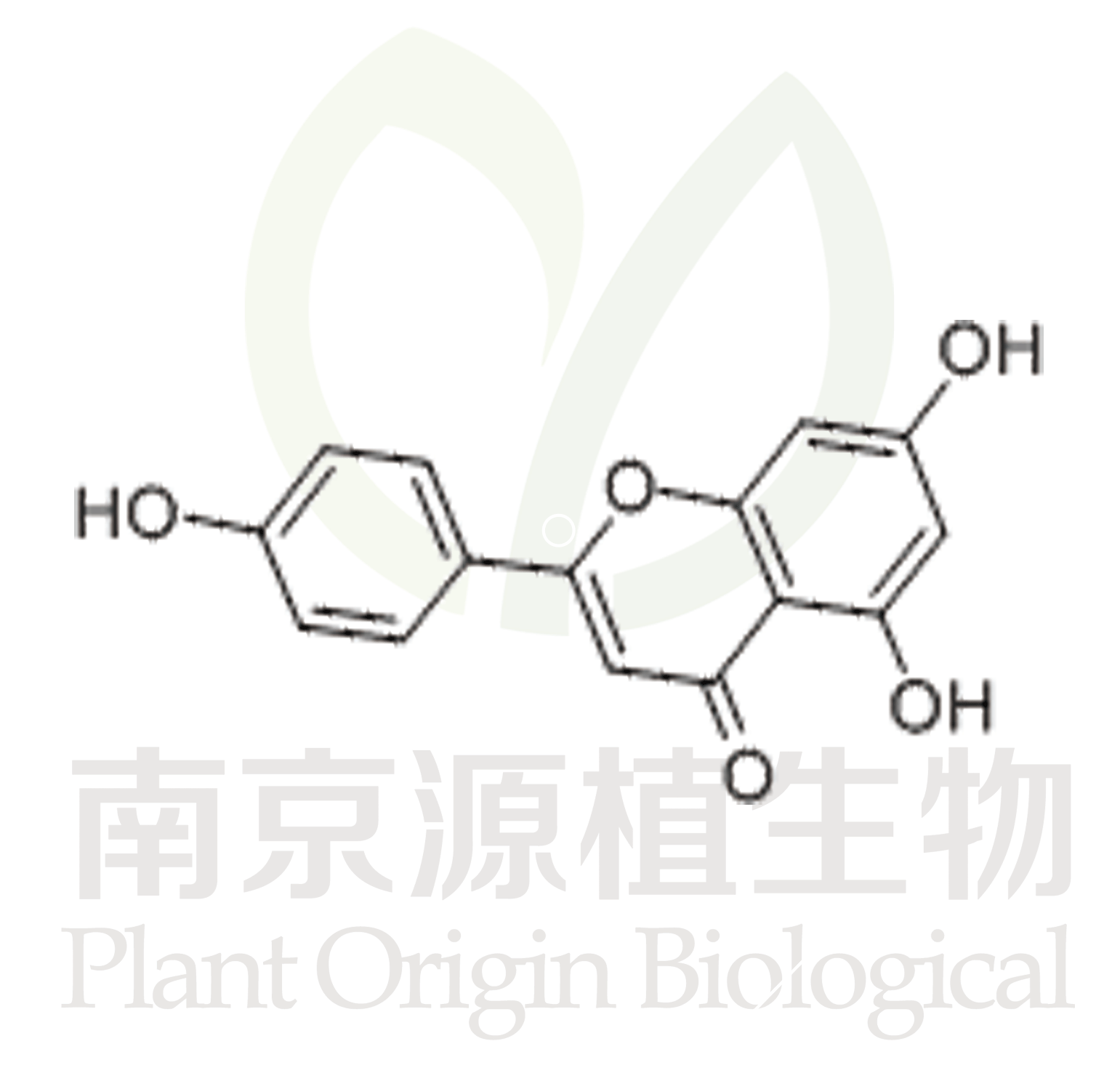 芹菜素