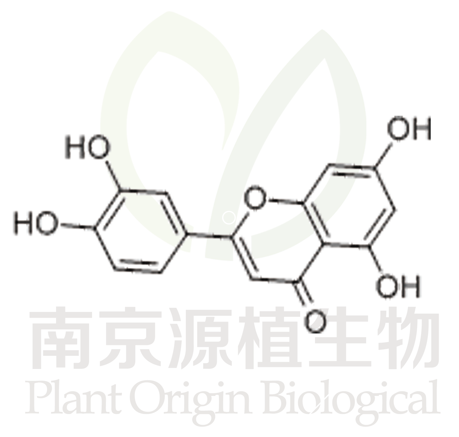 木犀草素