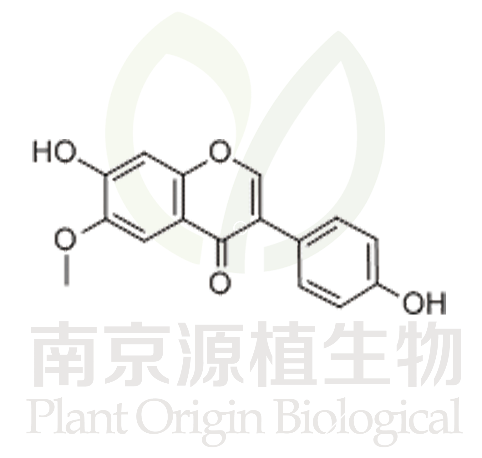 黃豆黃素