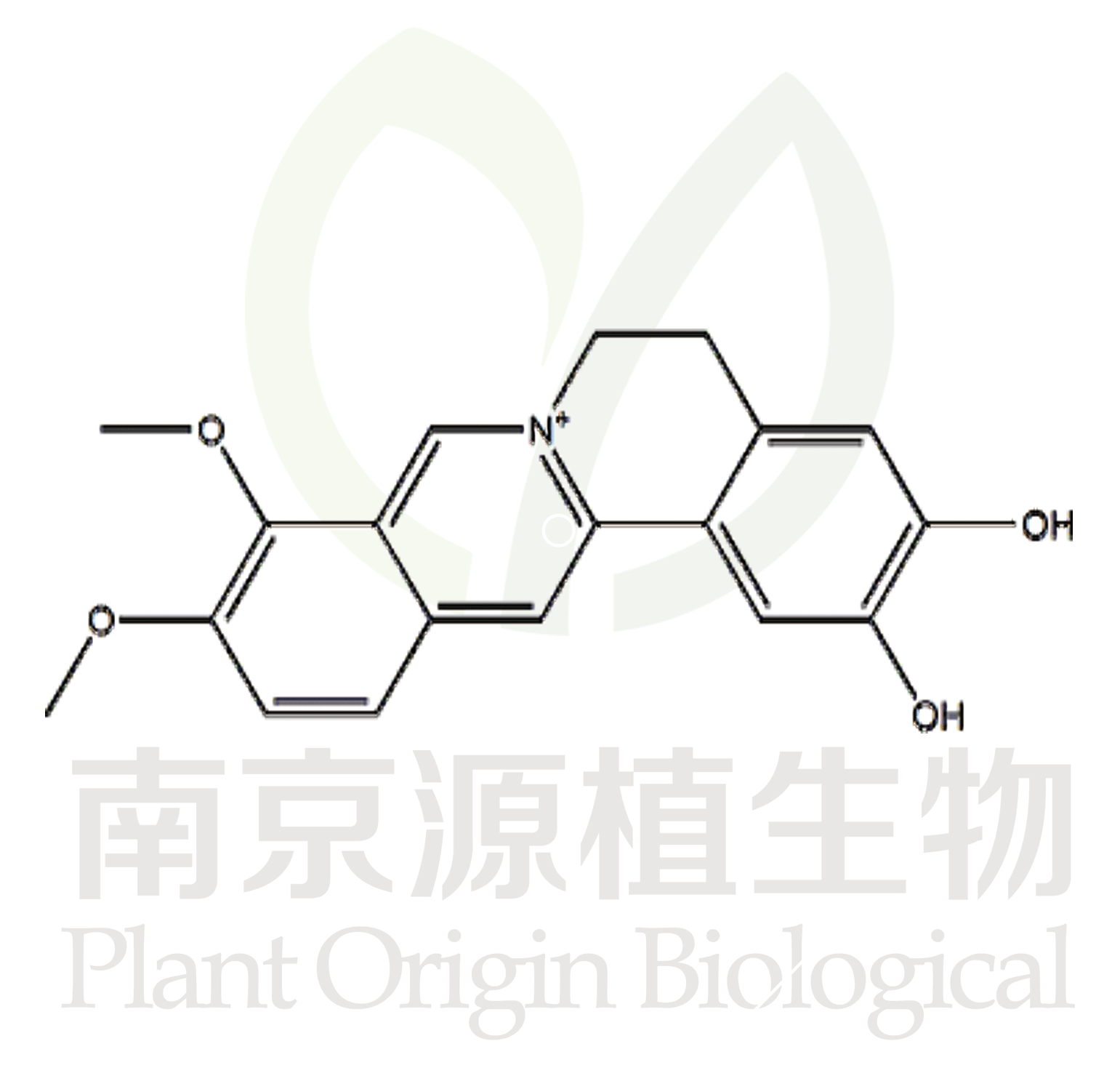 去亞甲基小檗堿