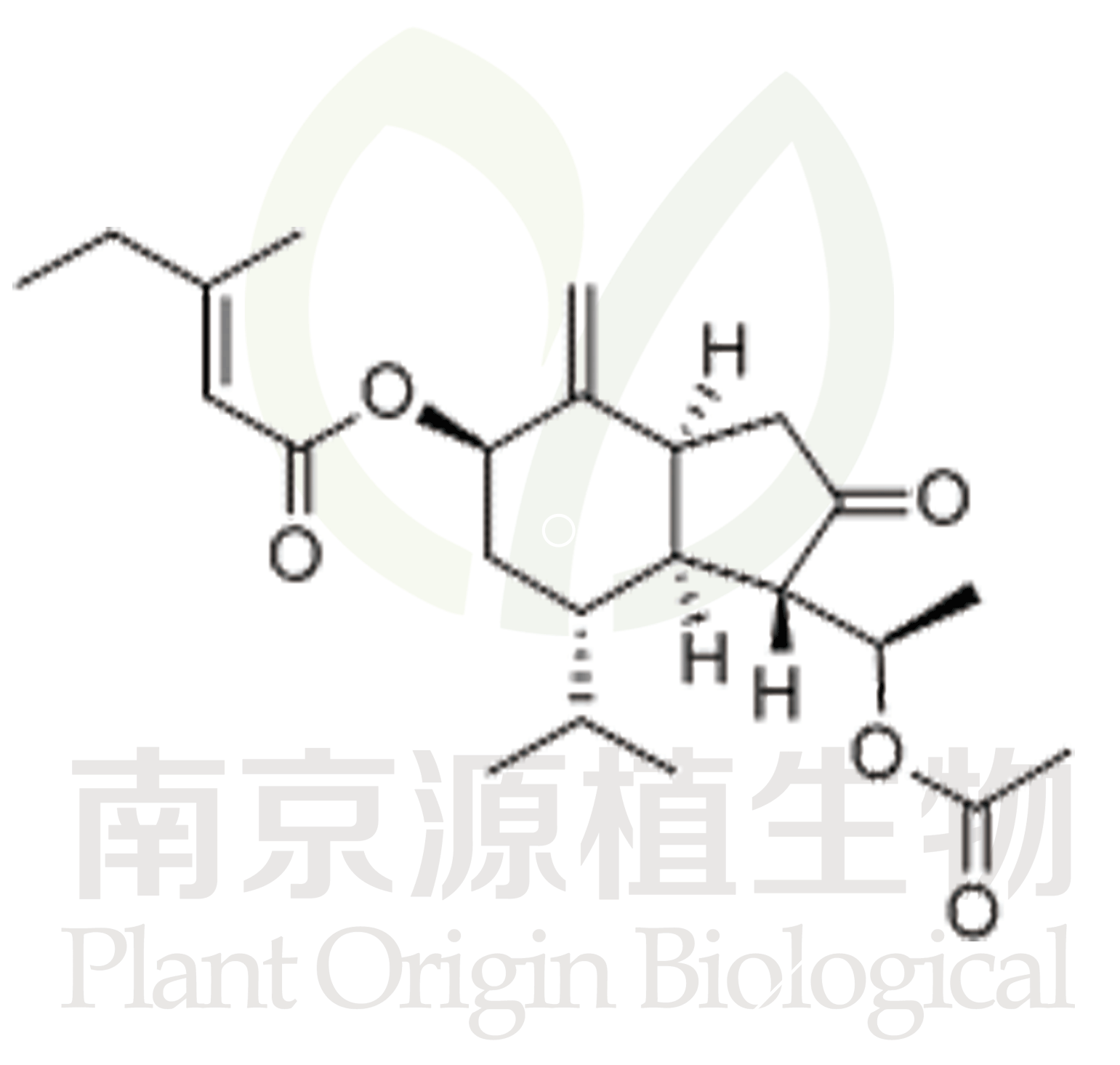 款冬酮