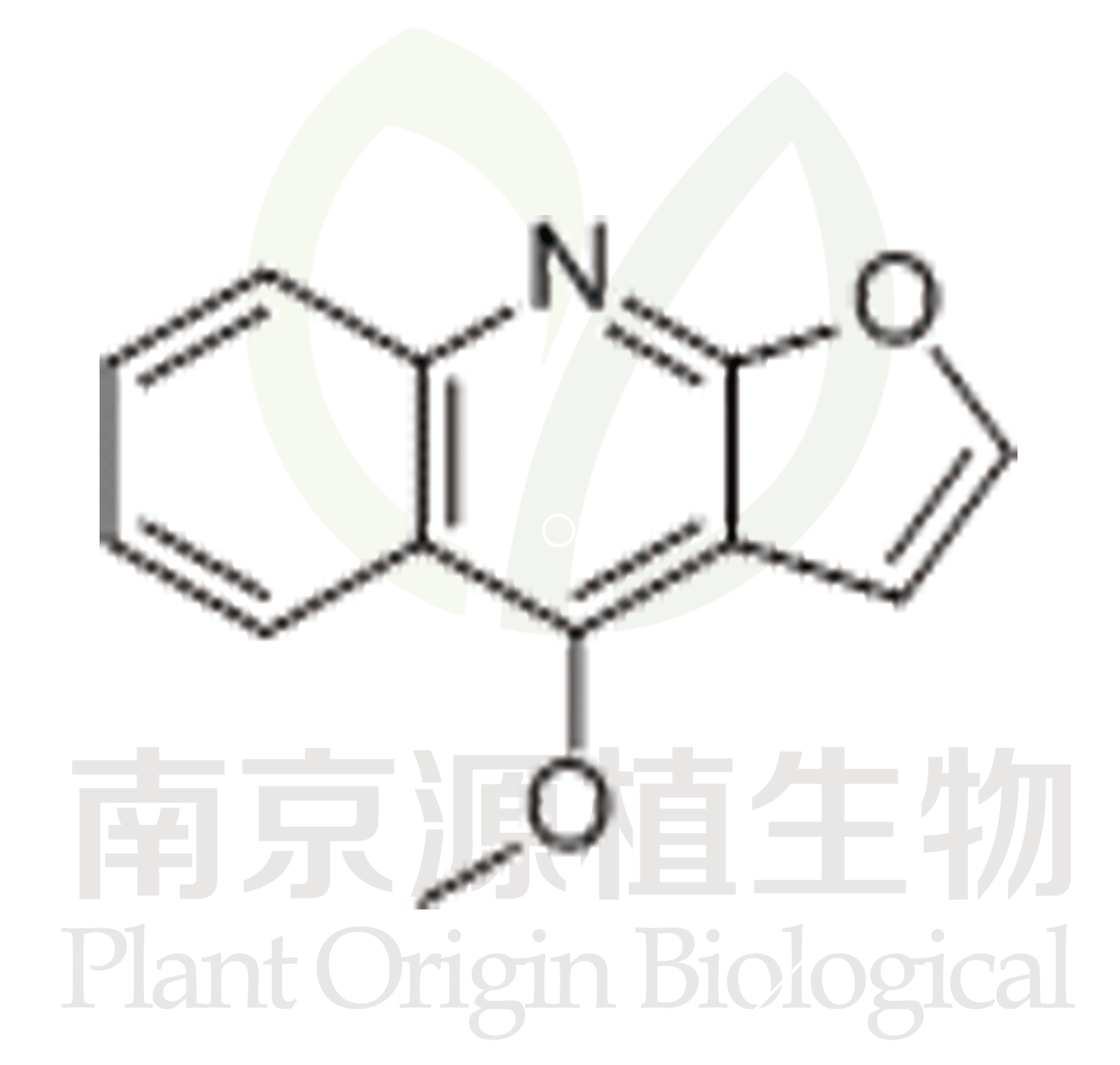 白鮮堿