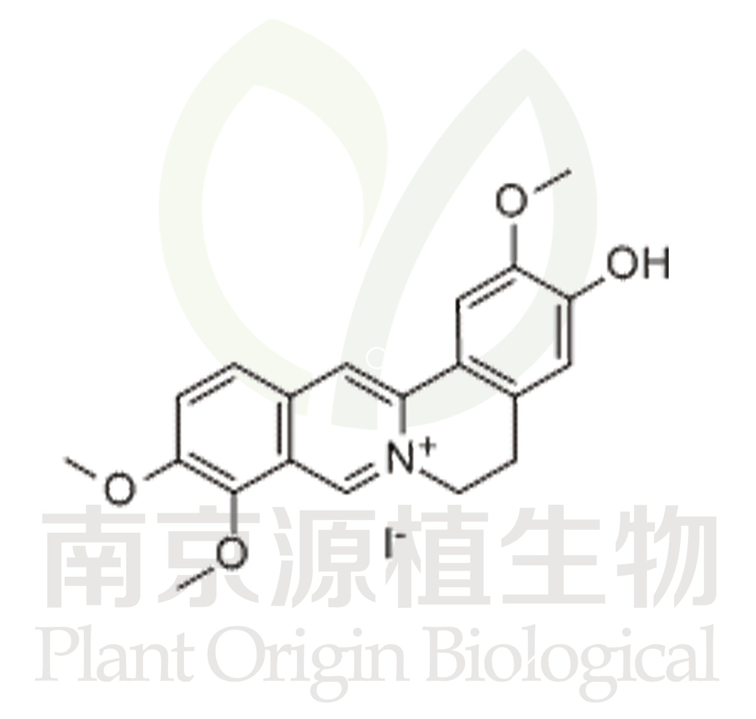 藥根堿