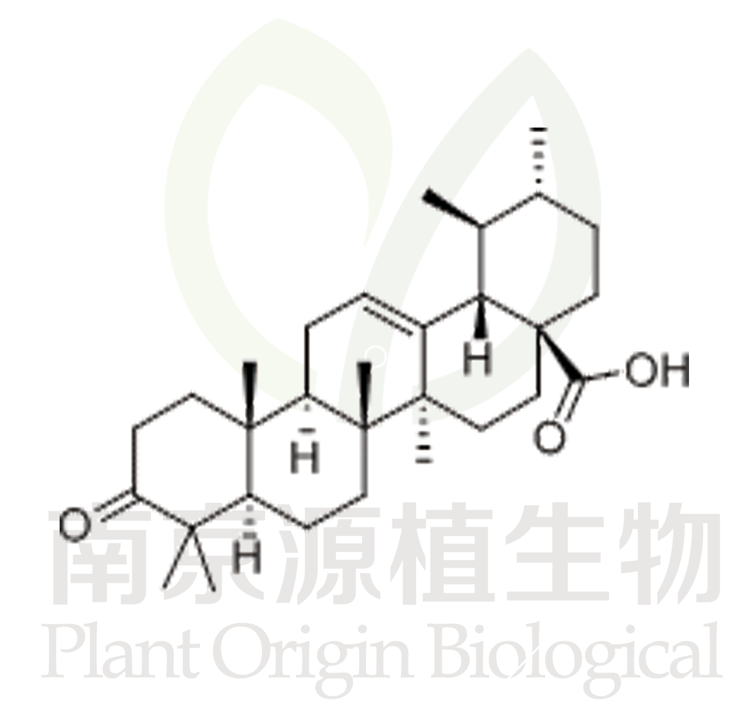 熊果酮酸