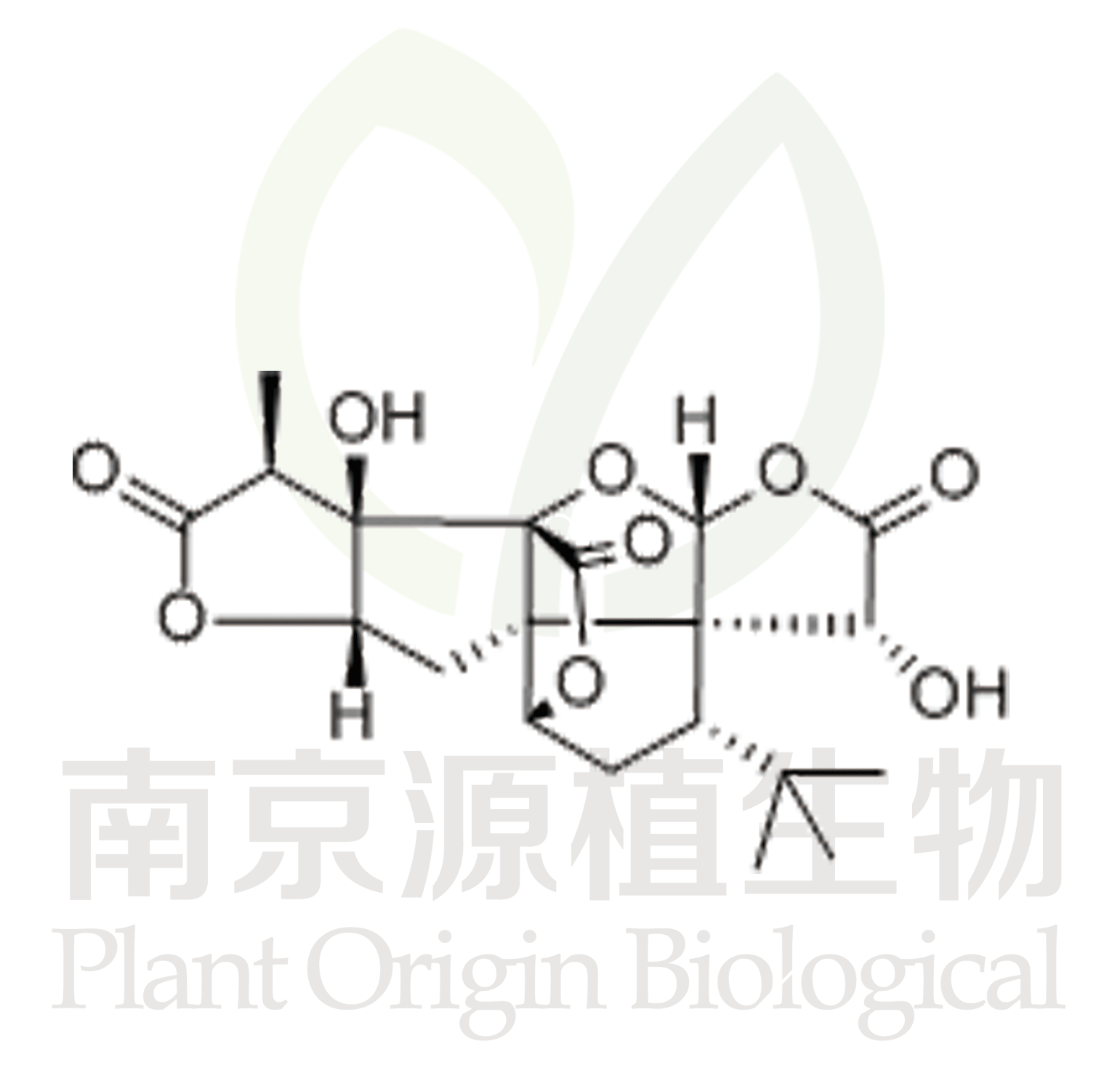 銀杏內酯A