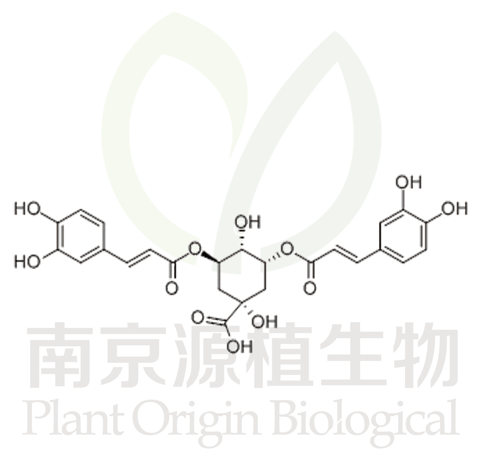 異綠原酸A