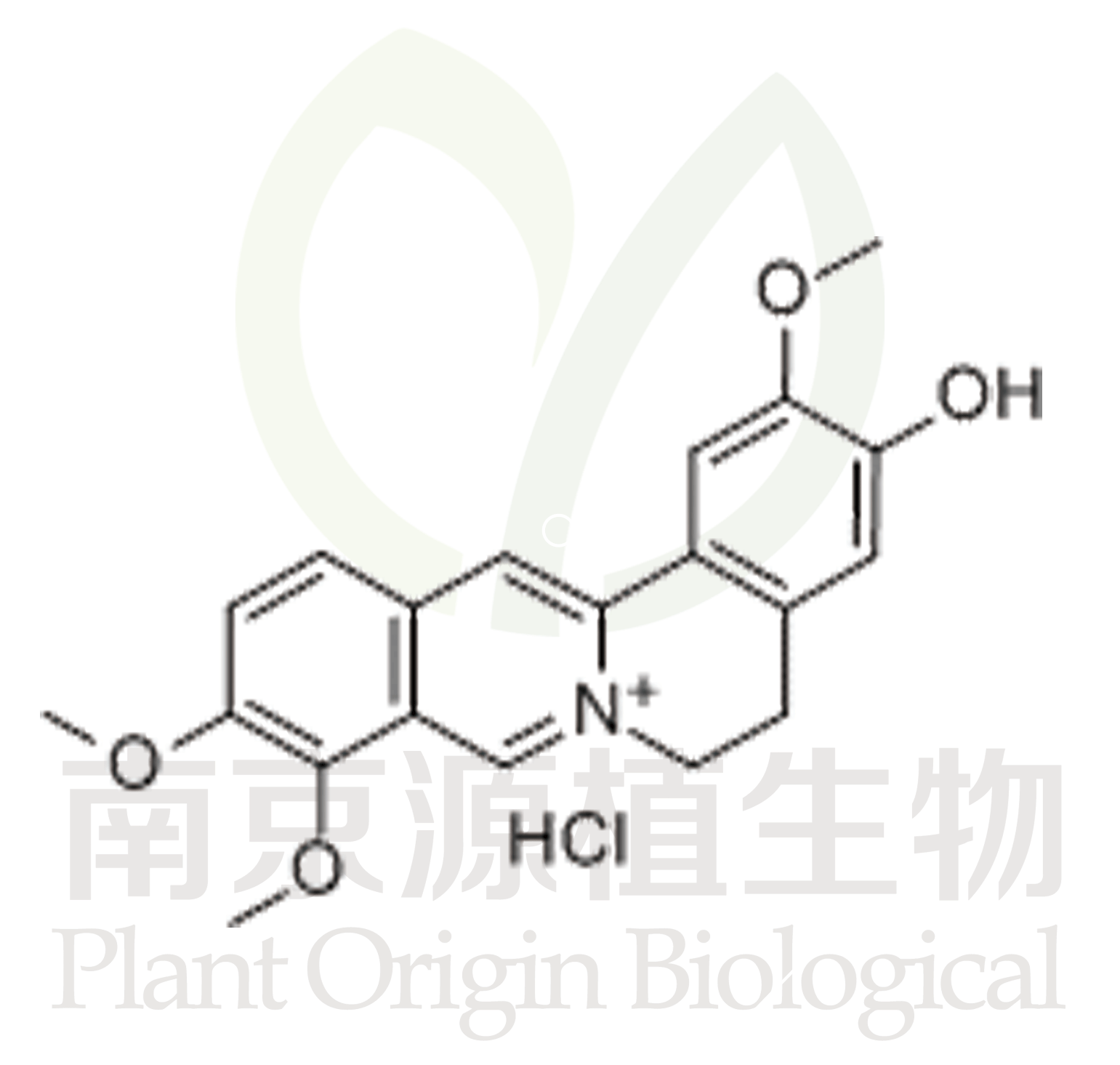 鹽酸藥根堿