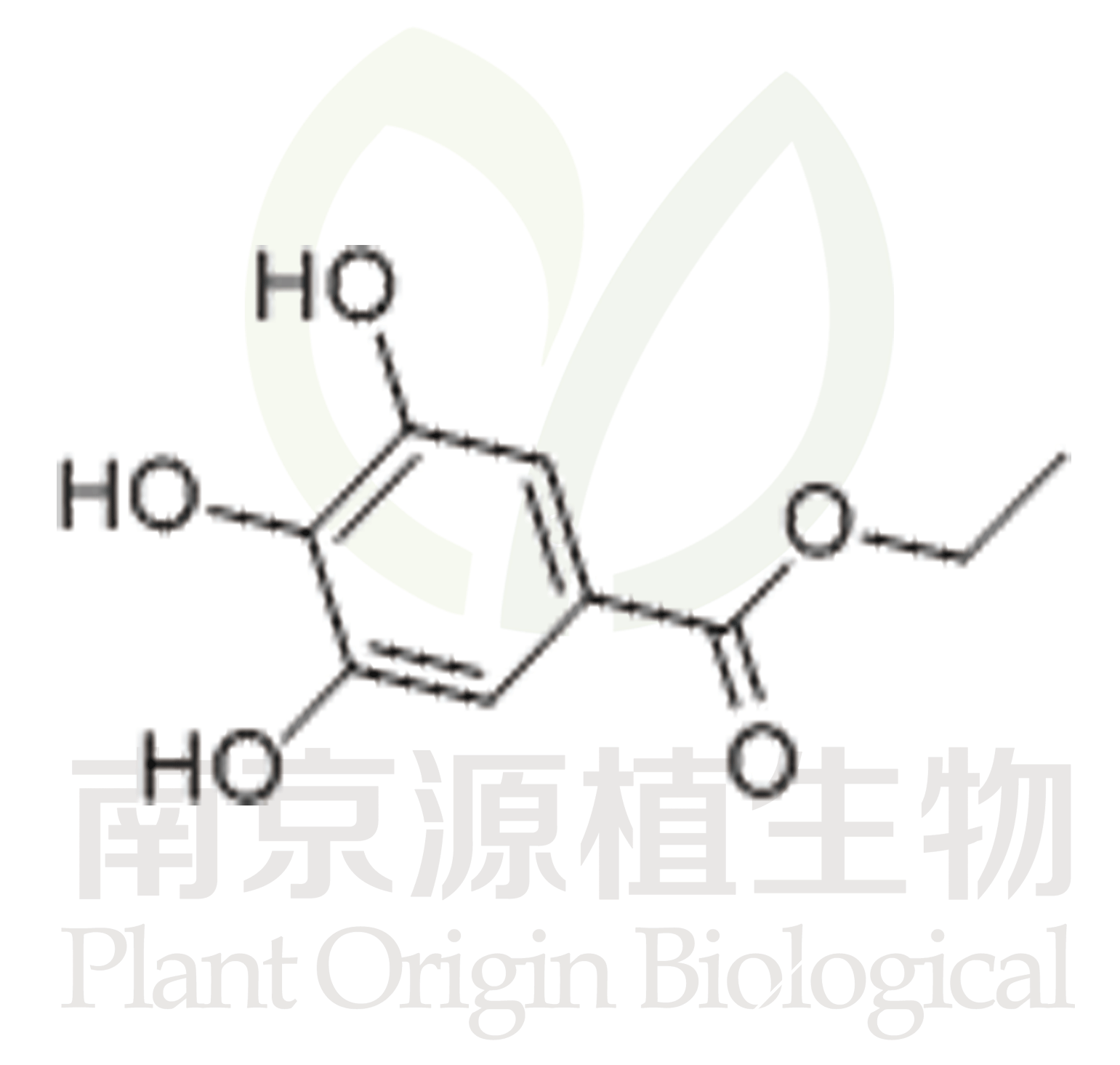 沒(méi)食子酸乙酯