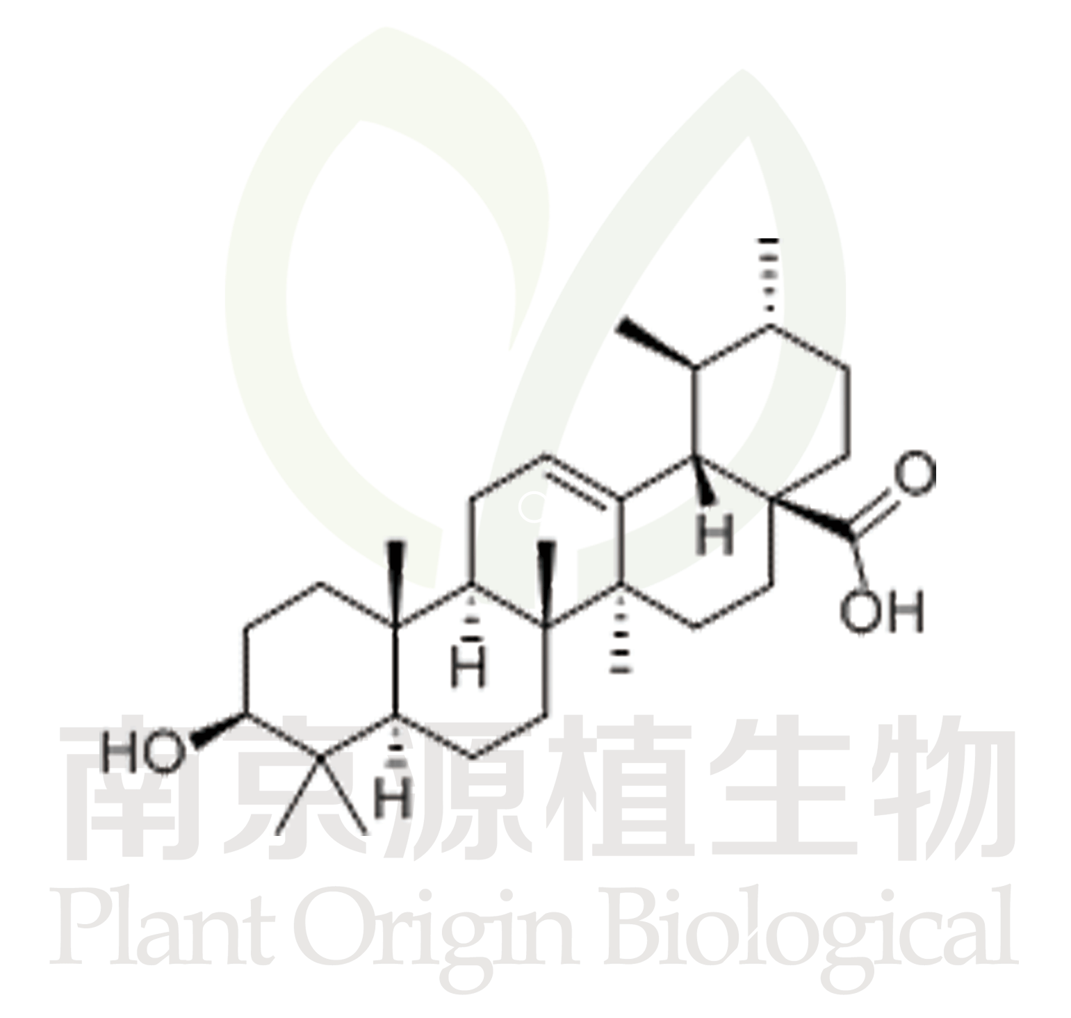 熊果酸