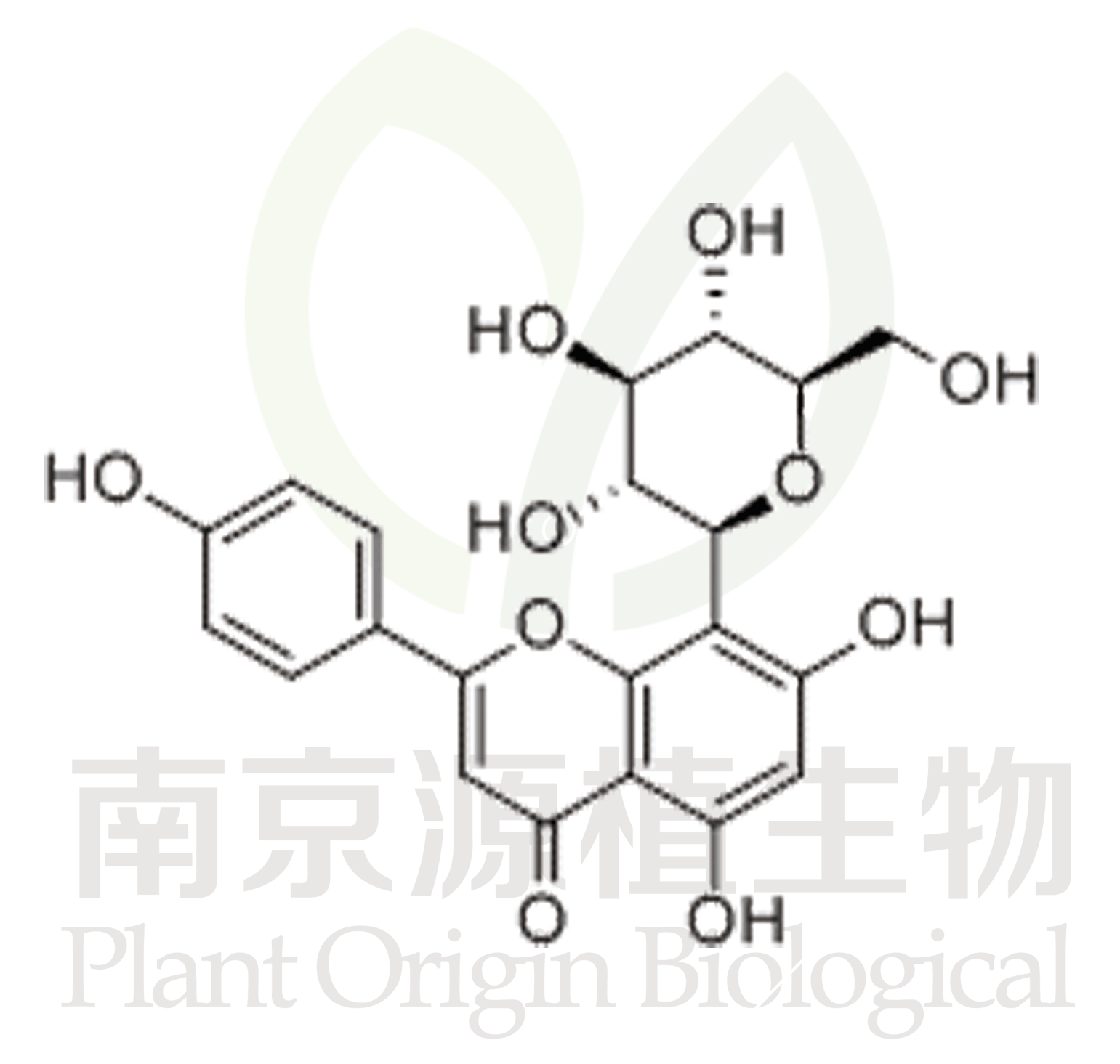 牡荊素