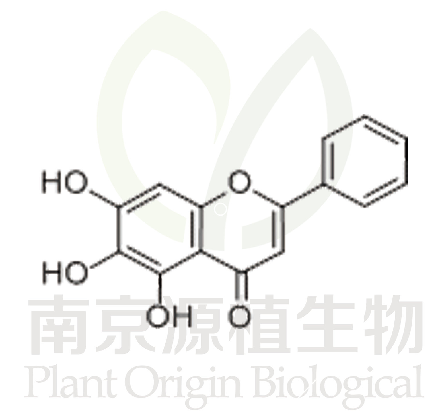 黃芩素