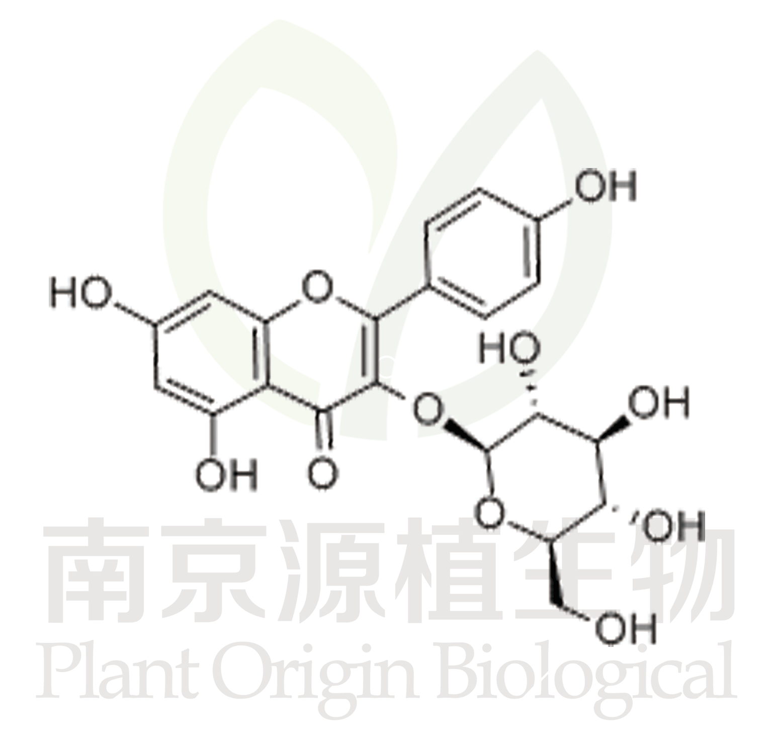 紫云英苷