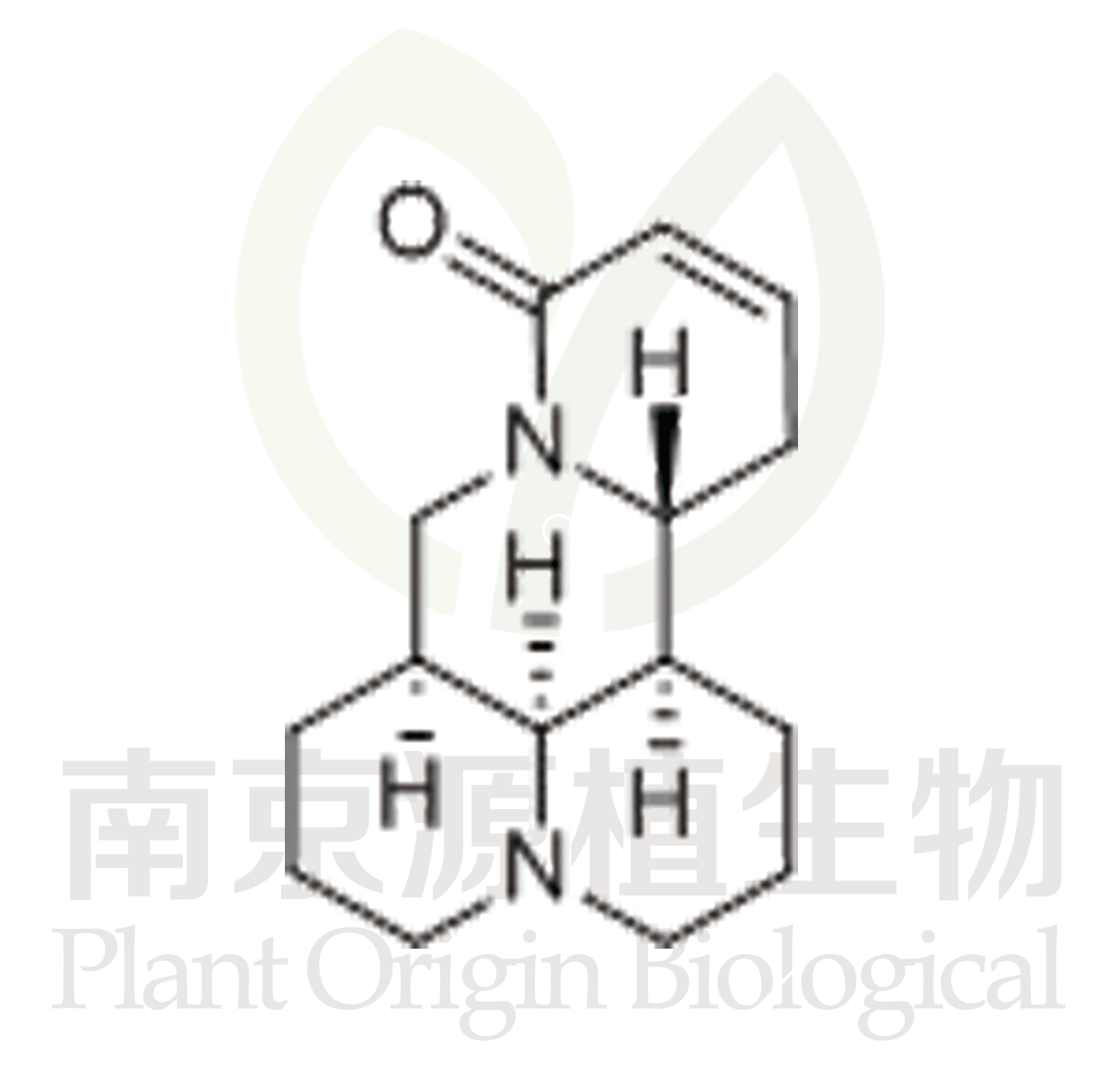 槐果堿