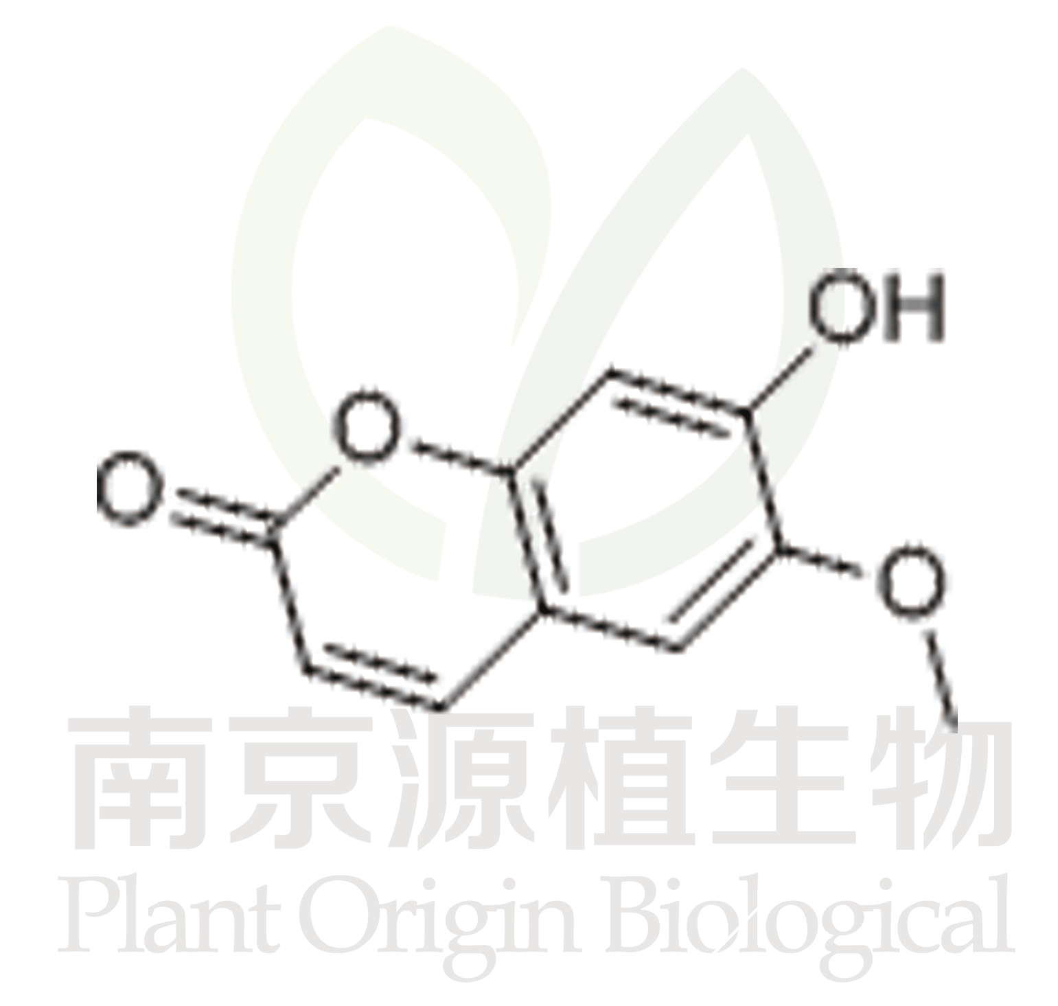 東莨菪內(nèi)酯